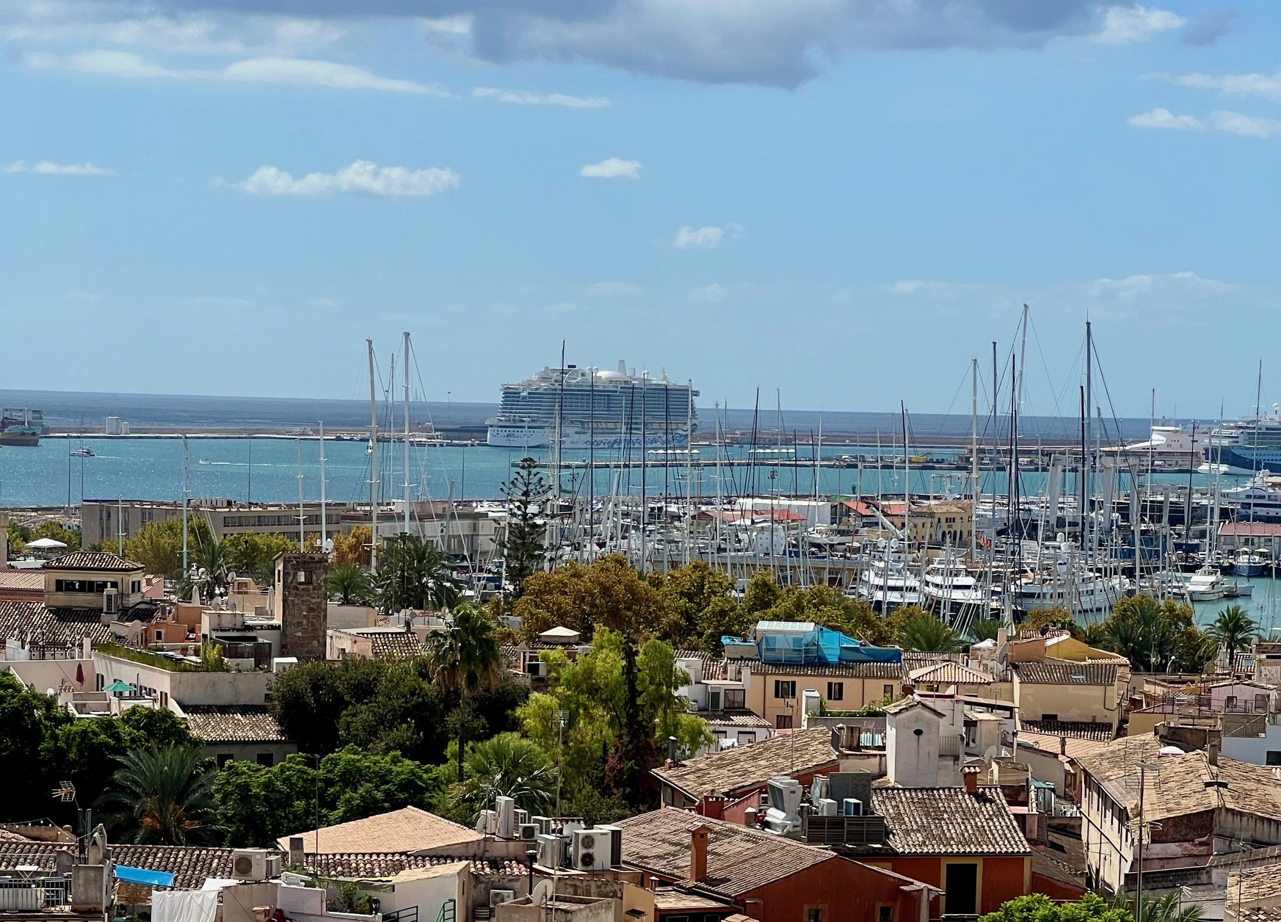 5 Minuten Mallorca | Nachrichten am 14. November 2024