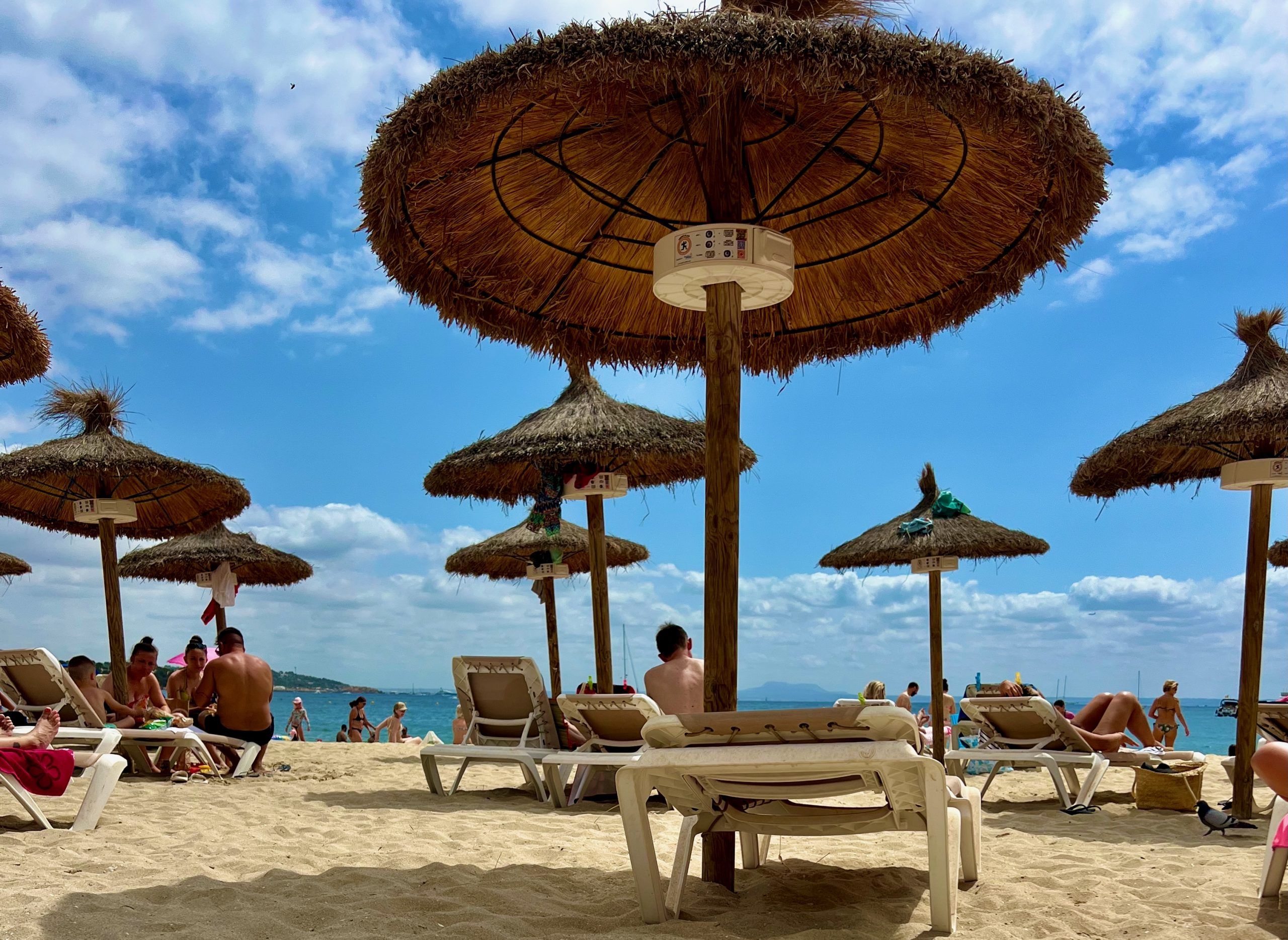 5 Minuten Mallorca | Nachrichten am 26. September 2024