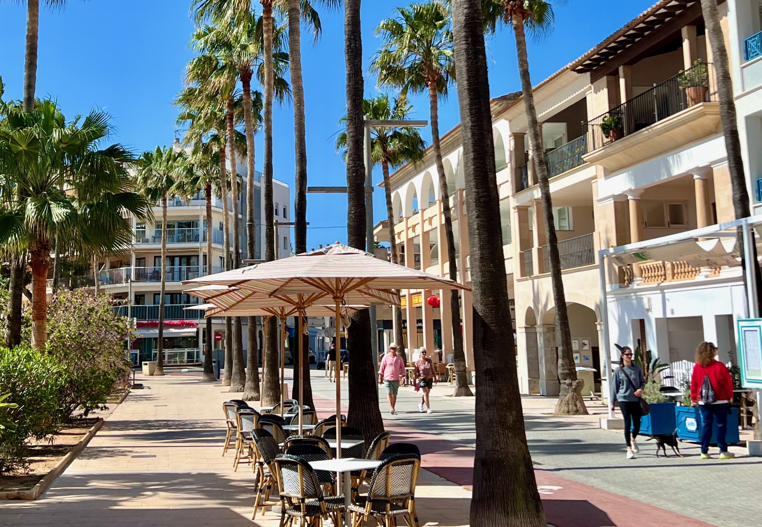 5 Minuten Mallorca | Nachrichten am 8. April 2025