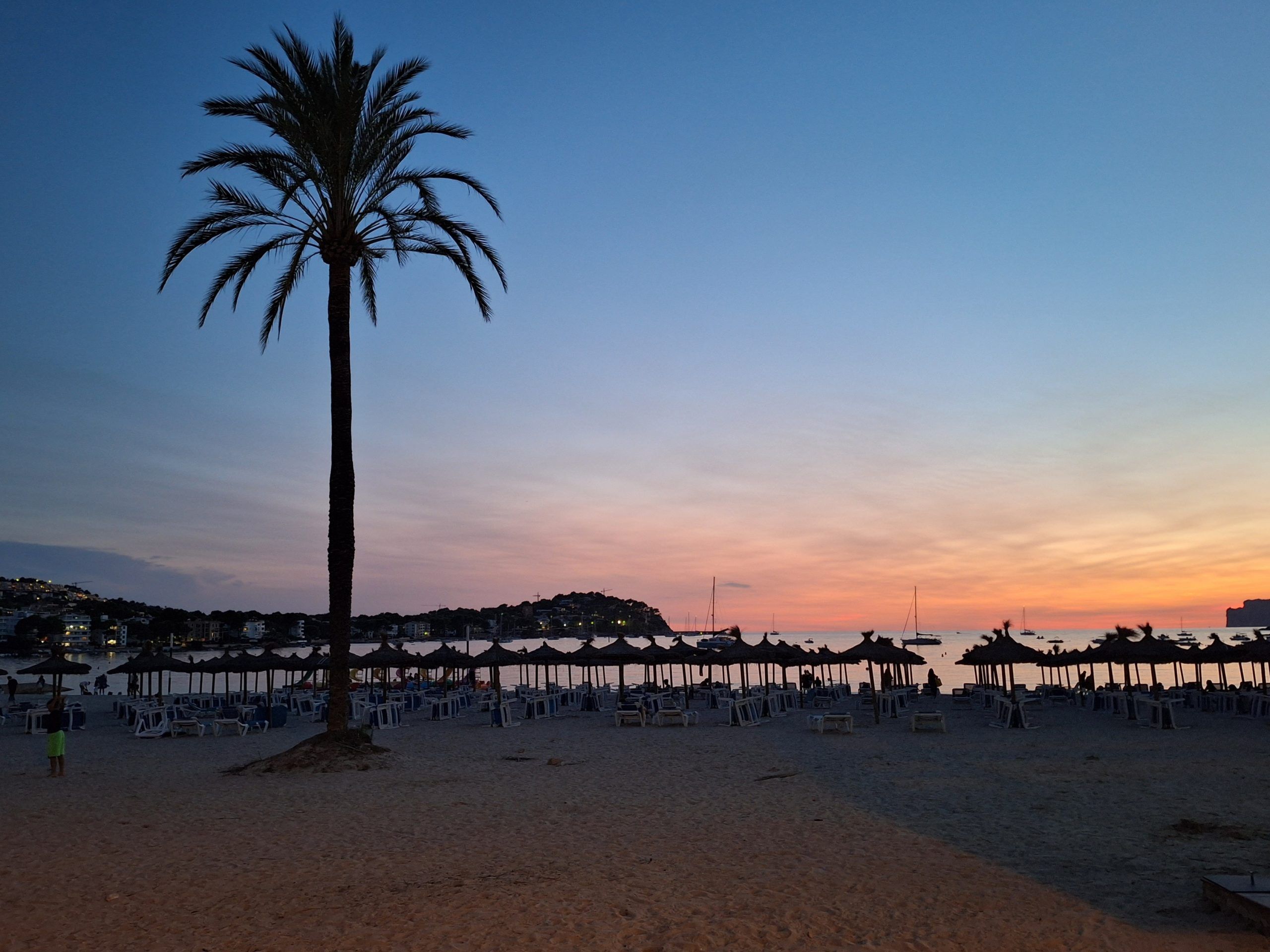 5 Minuten Mallorca | Nachrichten am 8. Mai 2025