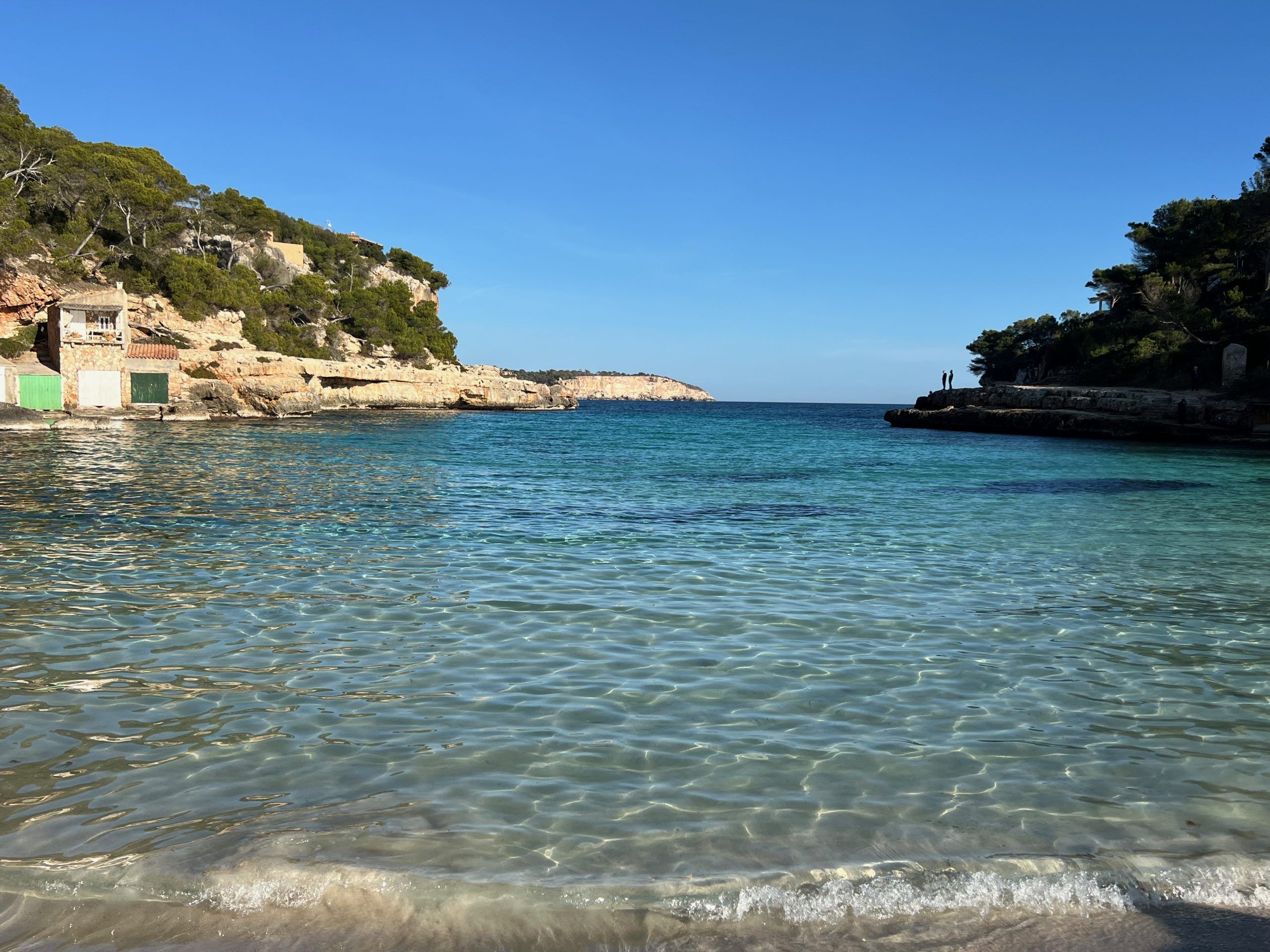 5 Minuten Mallorca | Nachrichten am 29. Januar 2024