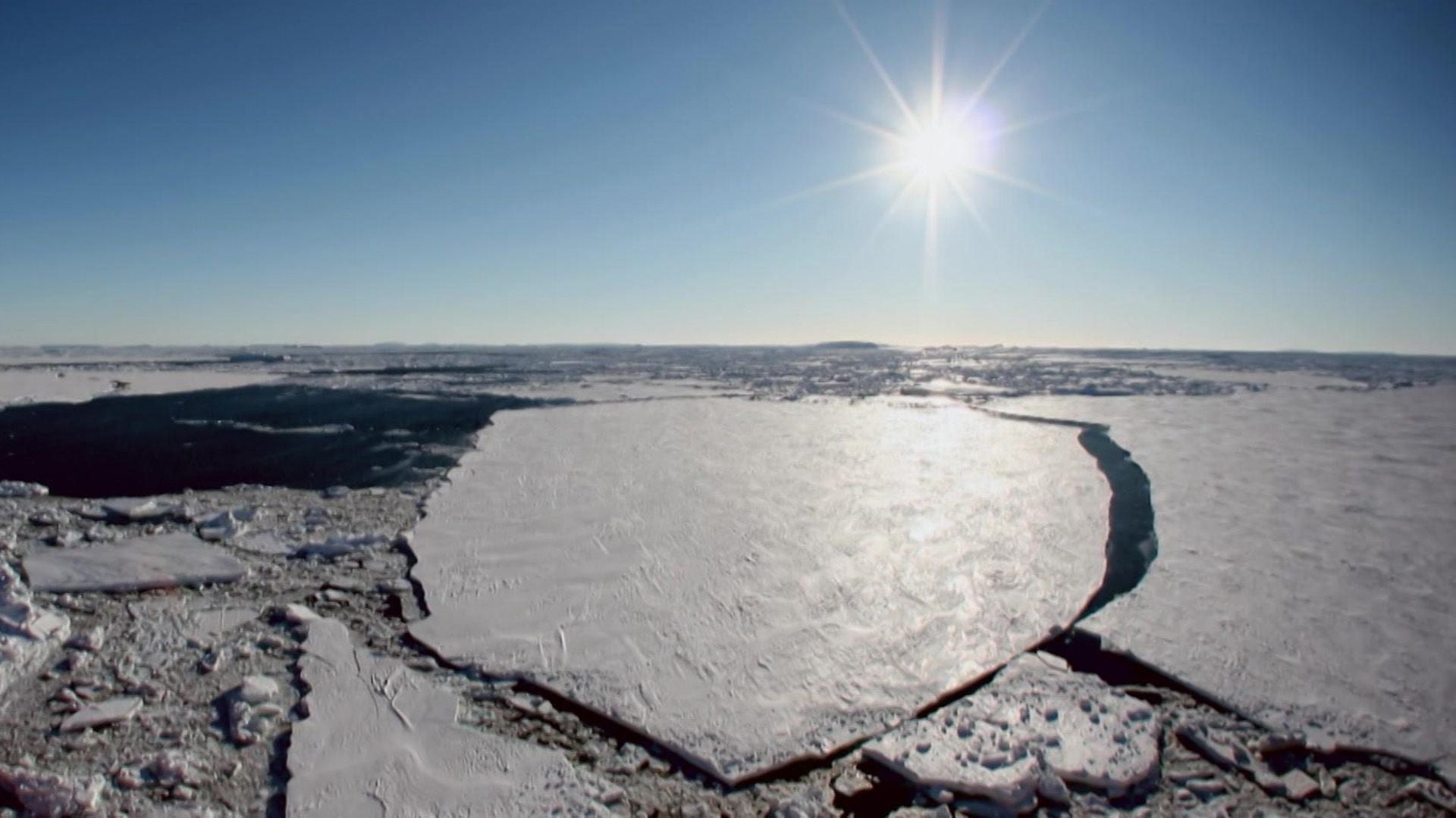 Beringia: Die verlorene Welt