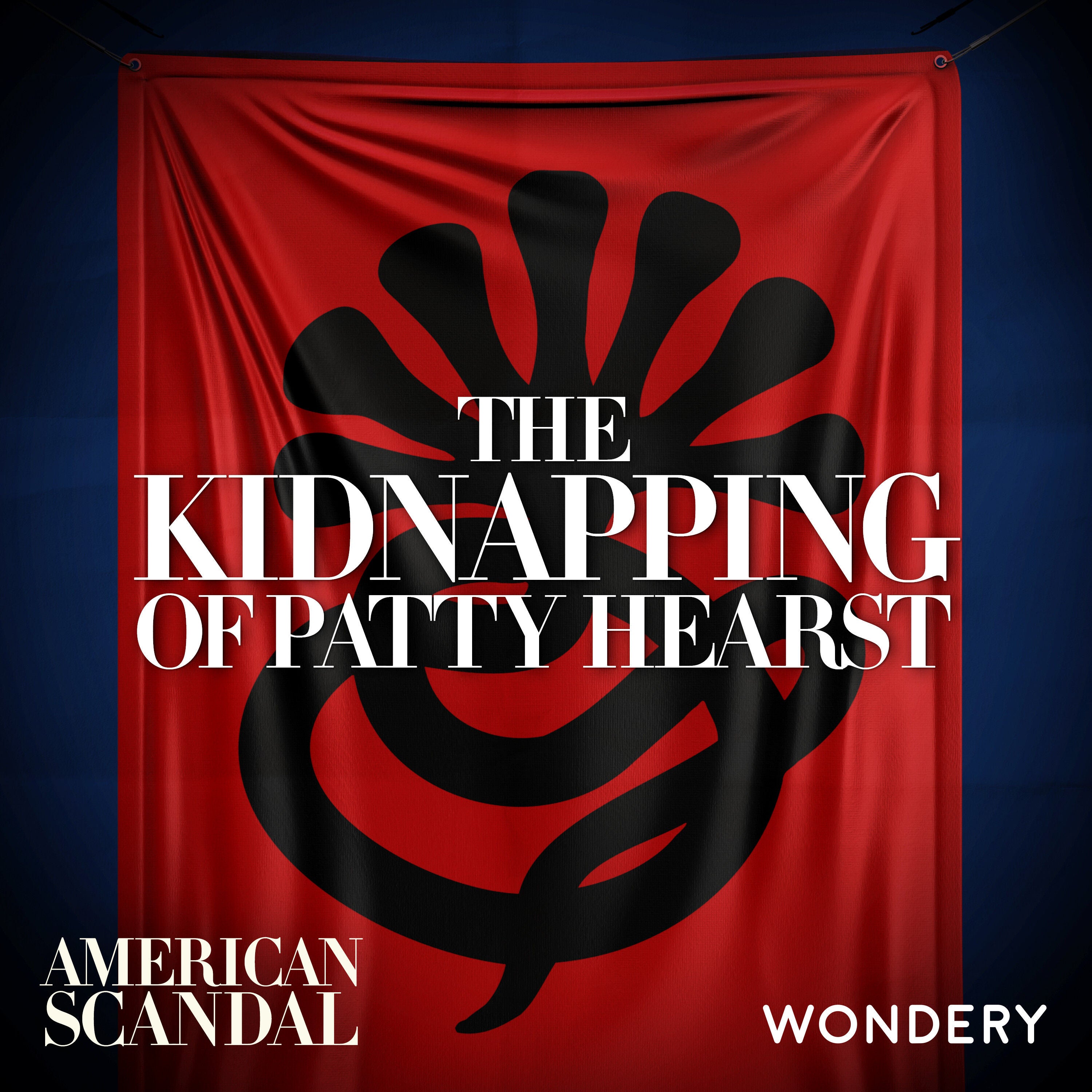 The Kidnapping of Patty Hearst | The Plot | 1