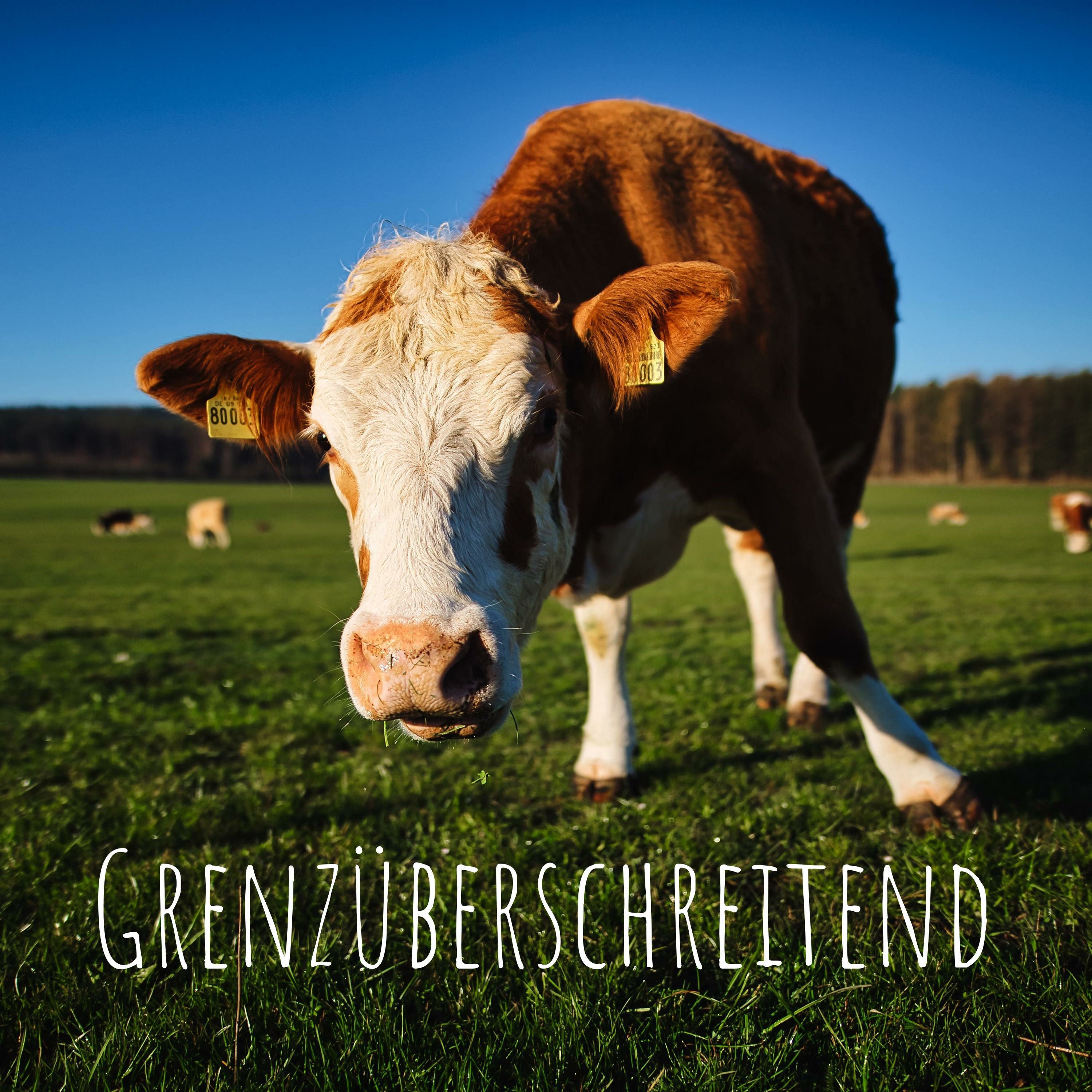 001 - Grenzenlos