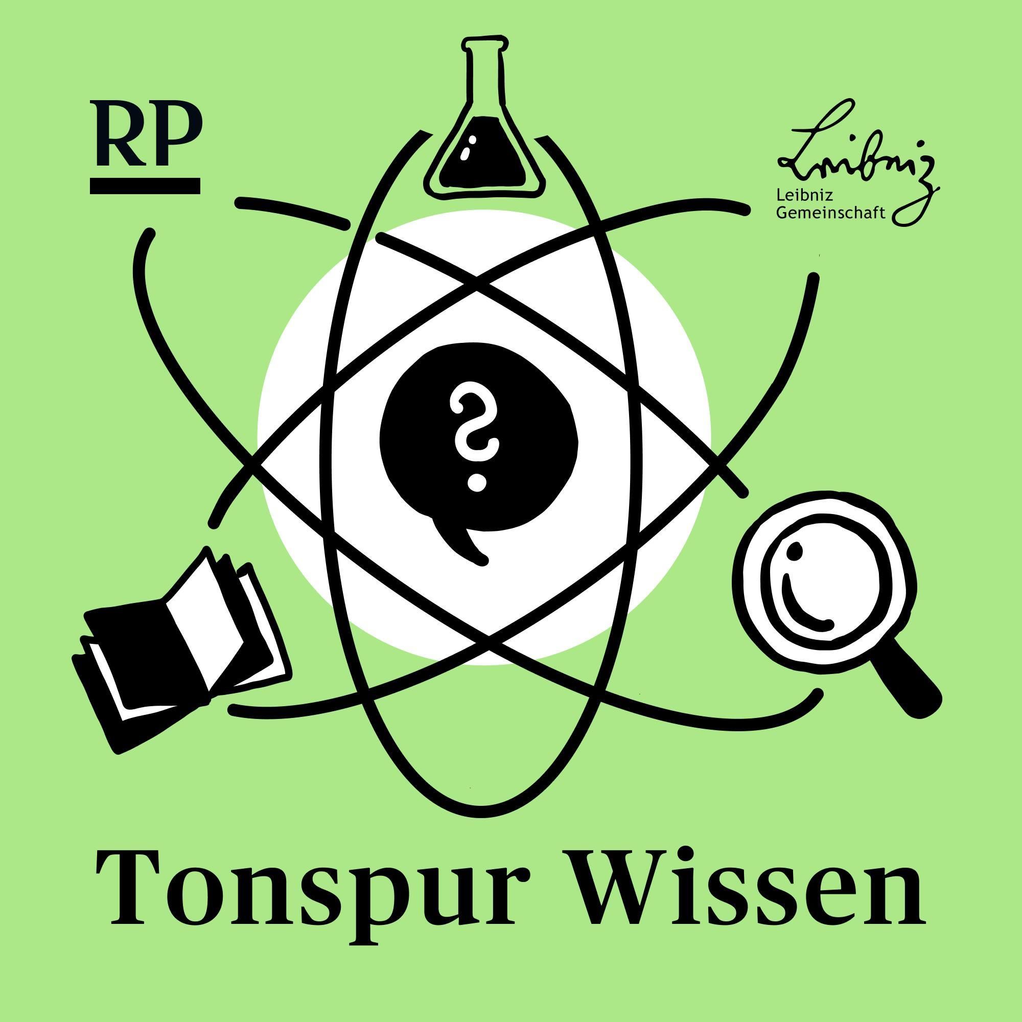 Warum werden Krähen immer dreister?