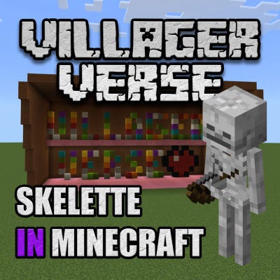 Skelette in Minecraft 💀 #4