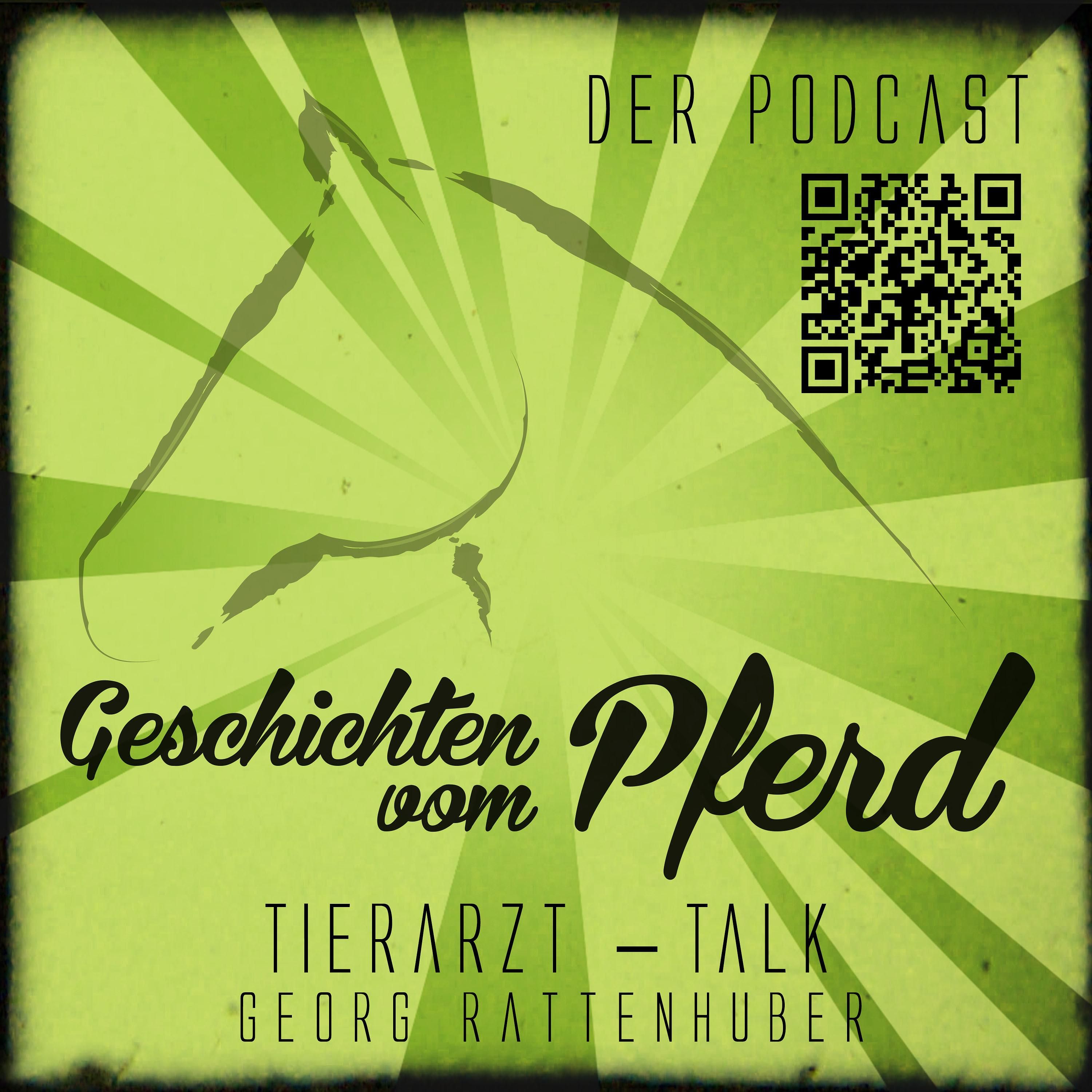Der Pferdearzt