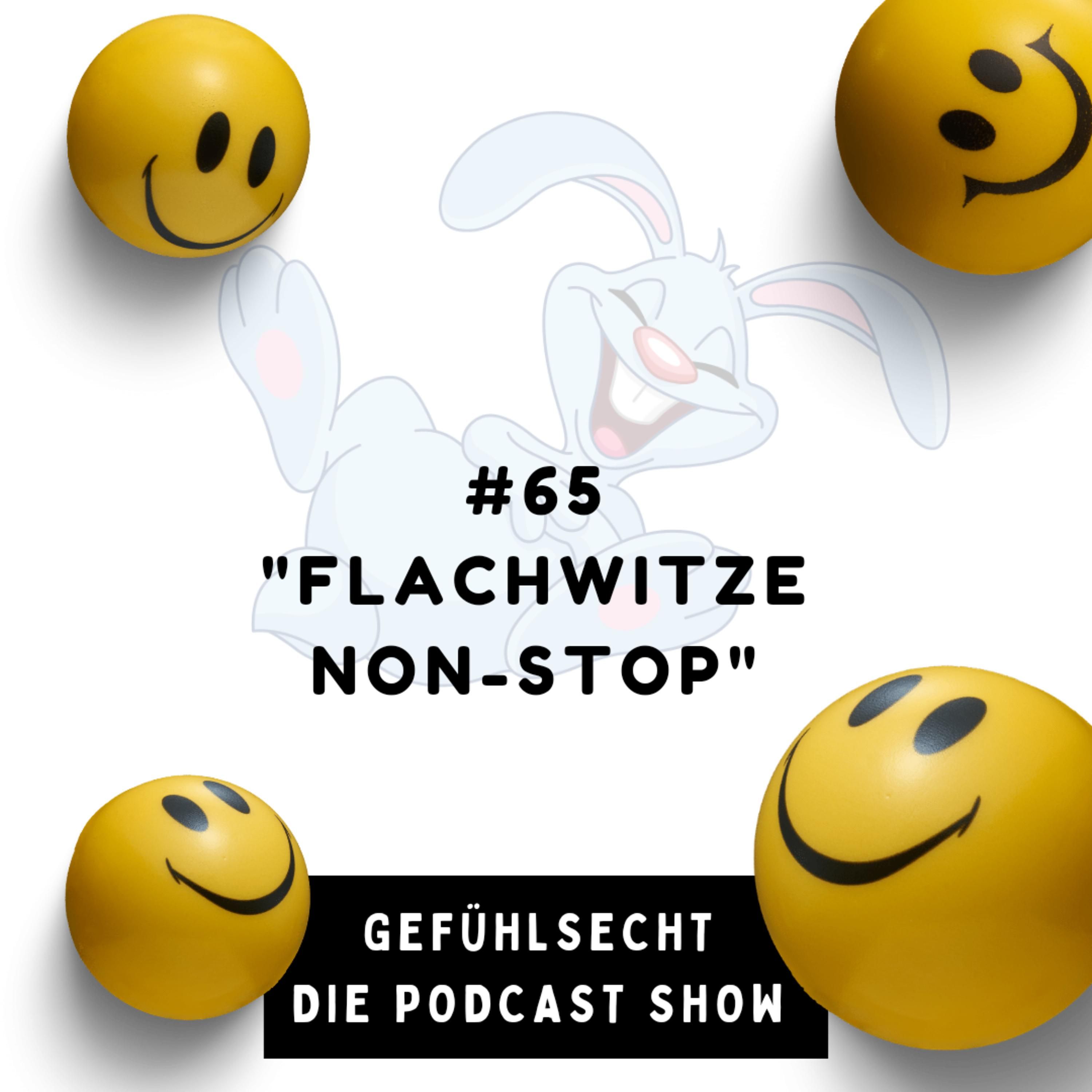 Flachwitze NON-STOP : Achtung!Nicht lustig! - Episode 66