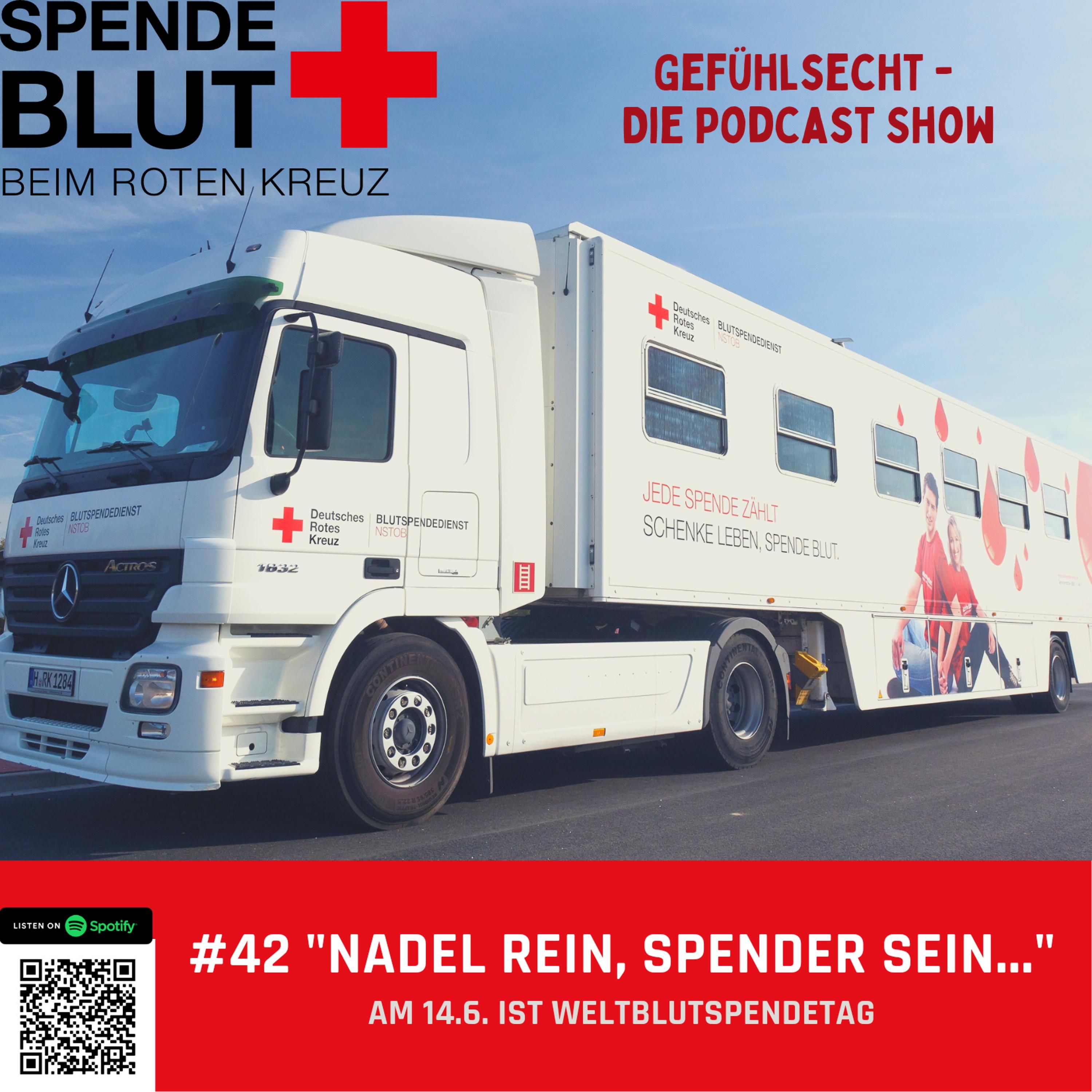 Nadel rein, Spender sein: So einfach ist Blutspenden - Episode 42