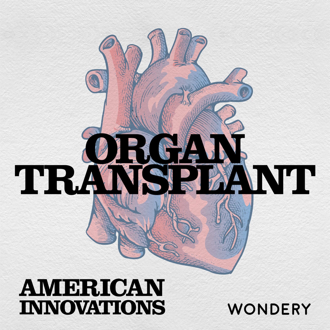 Organ Transplant: The Kidney Twins | S23-E1