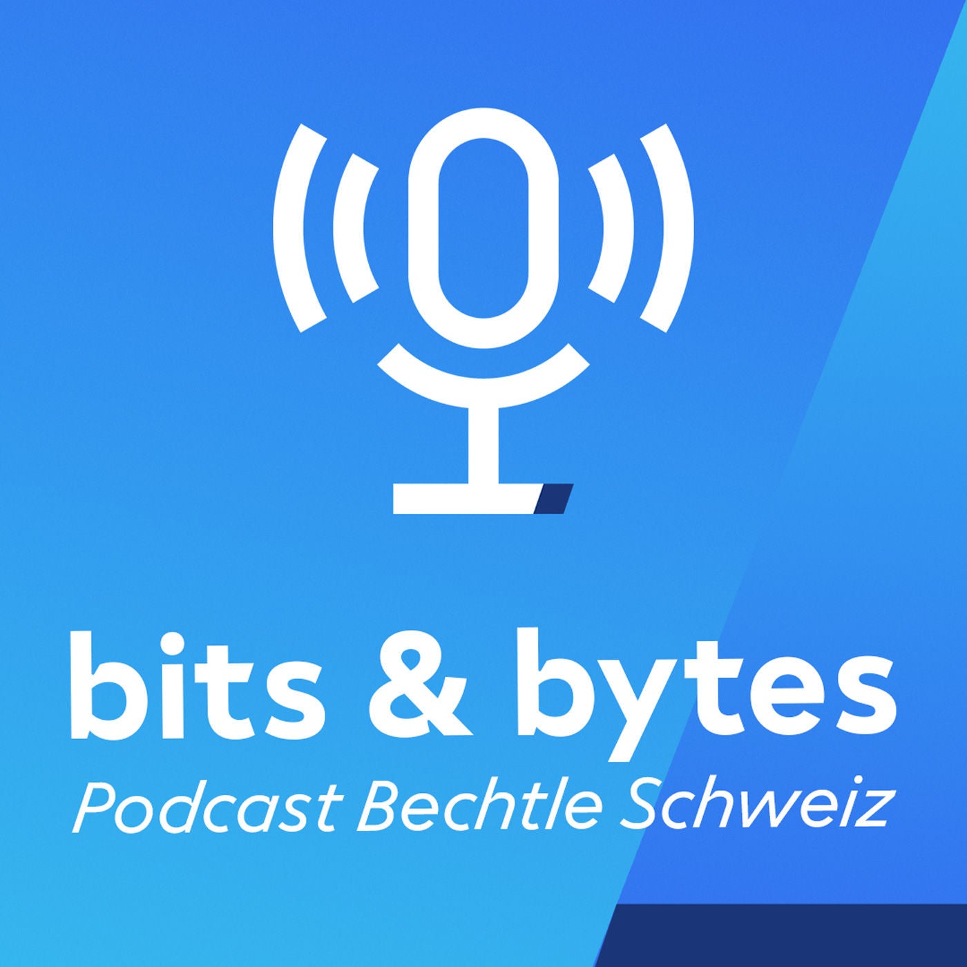 Bits & Bytes