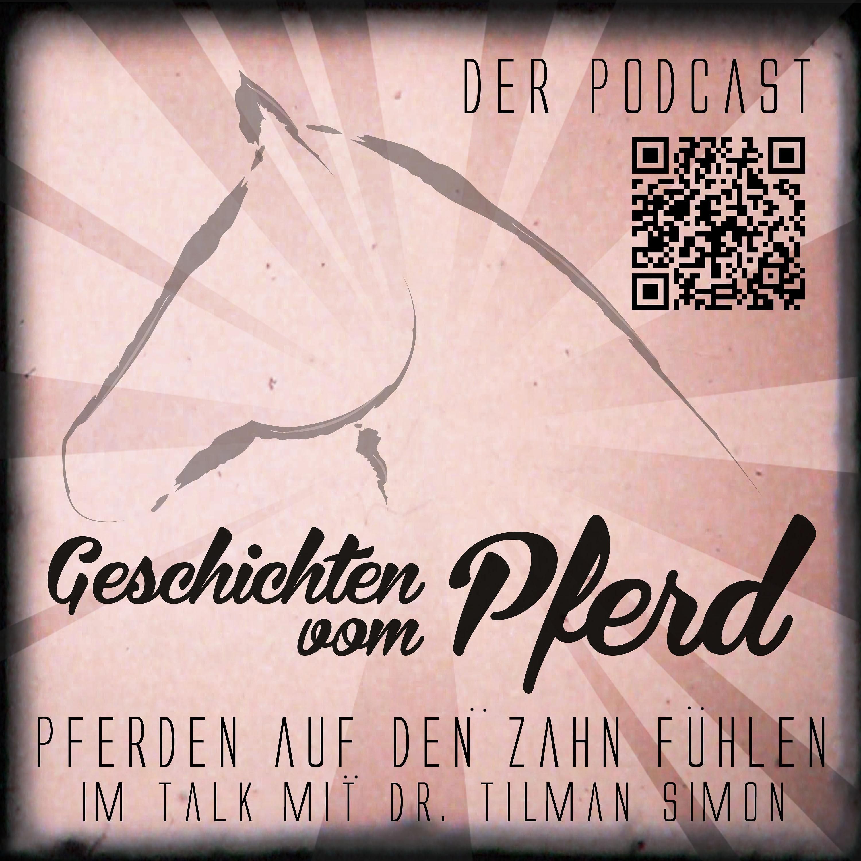 Pferde-Zahnarzt