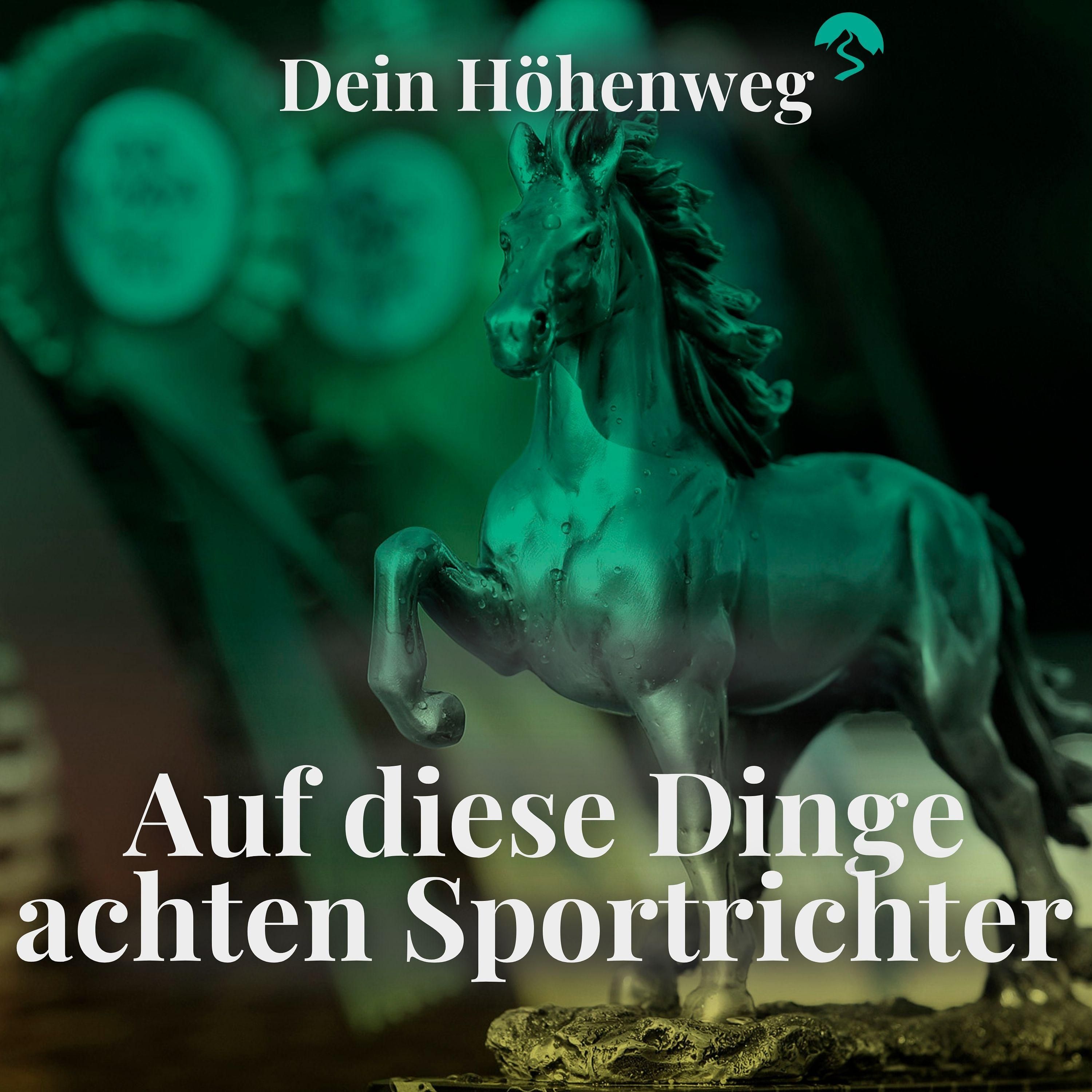 Auf diese Dinge achten Sportrichter | Stefan Hackauf