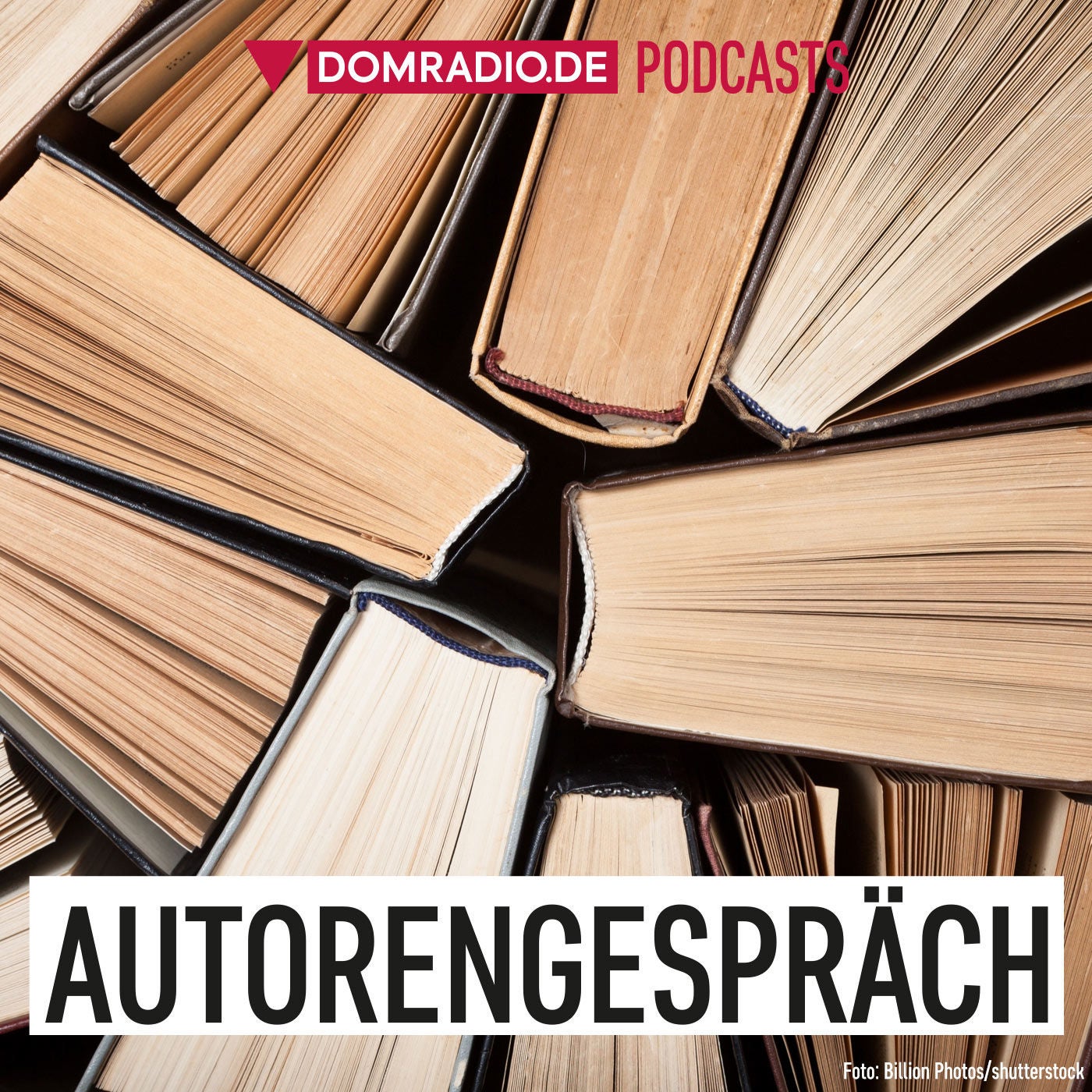 Autorengespräch
