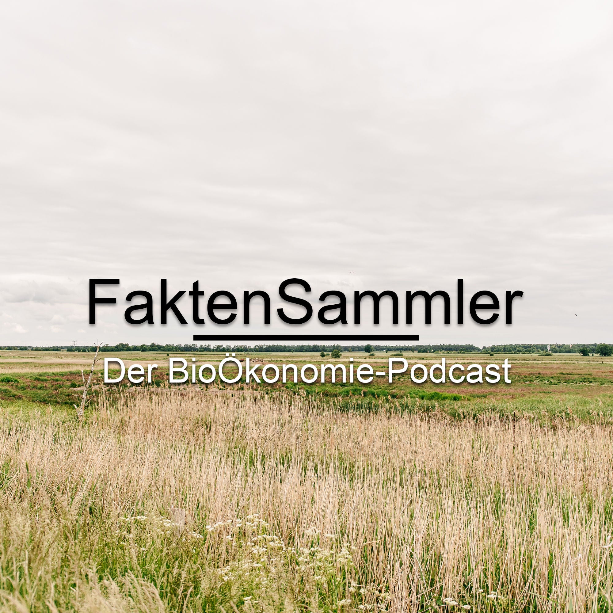 FaktenSammler
