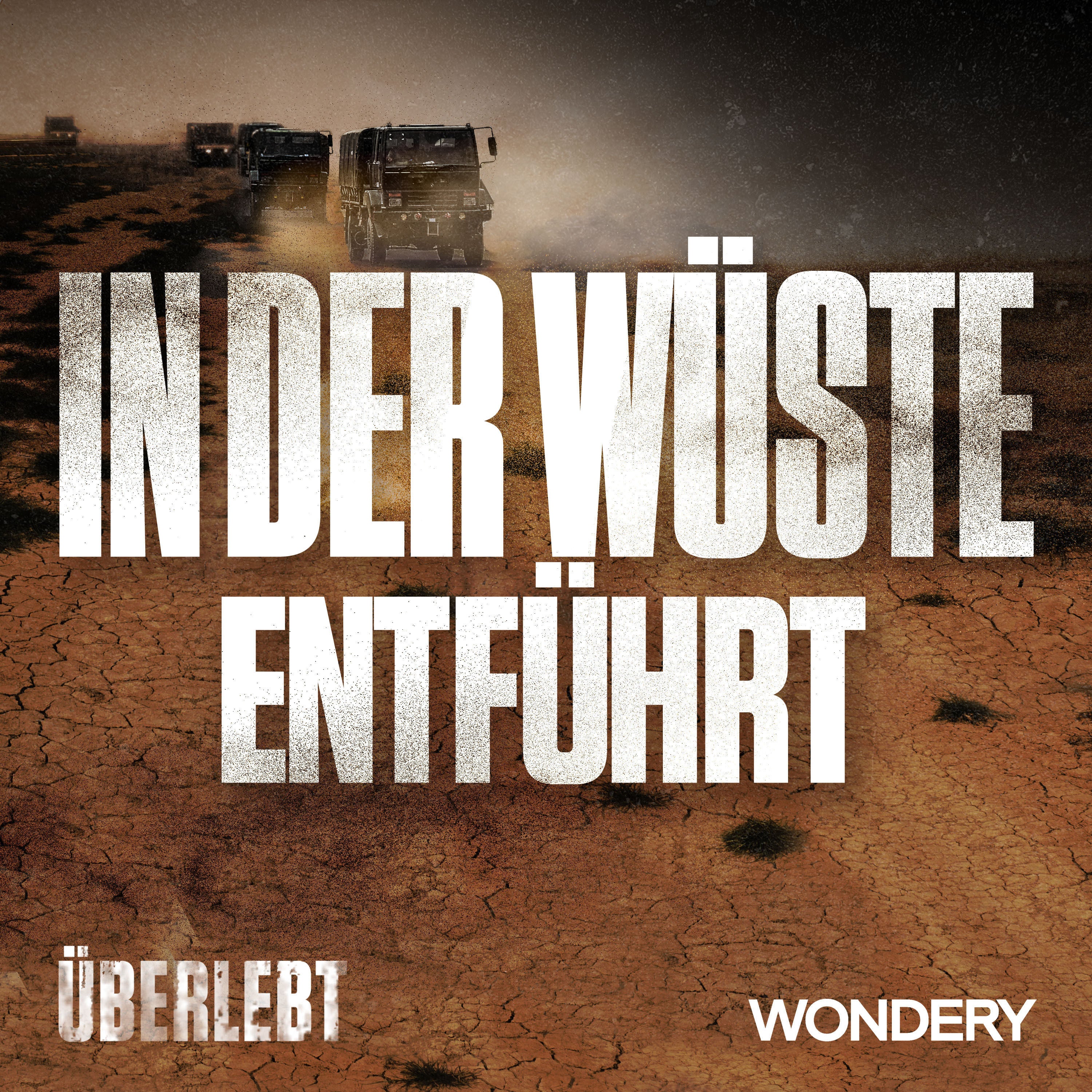 In der Wüste entführt | Lösegeld | 2
