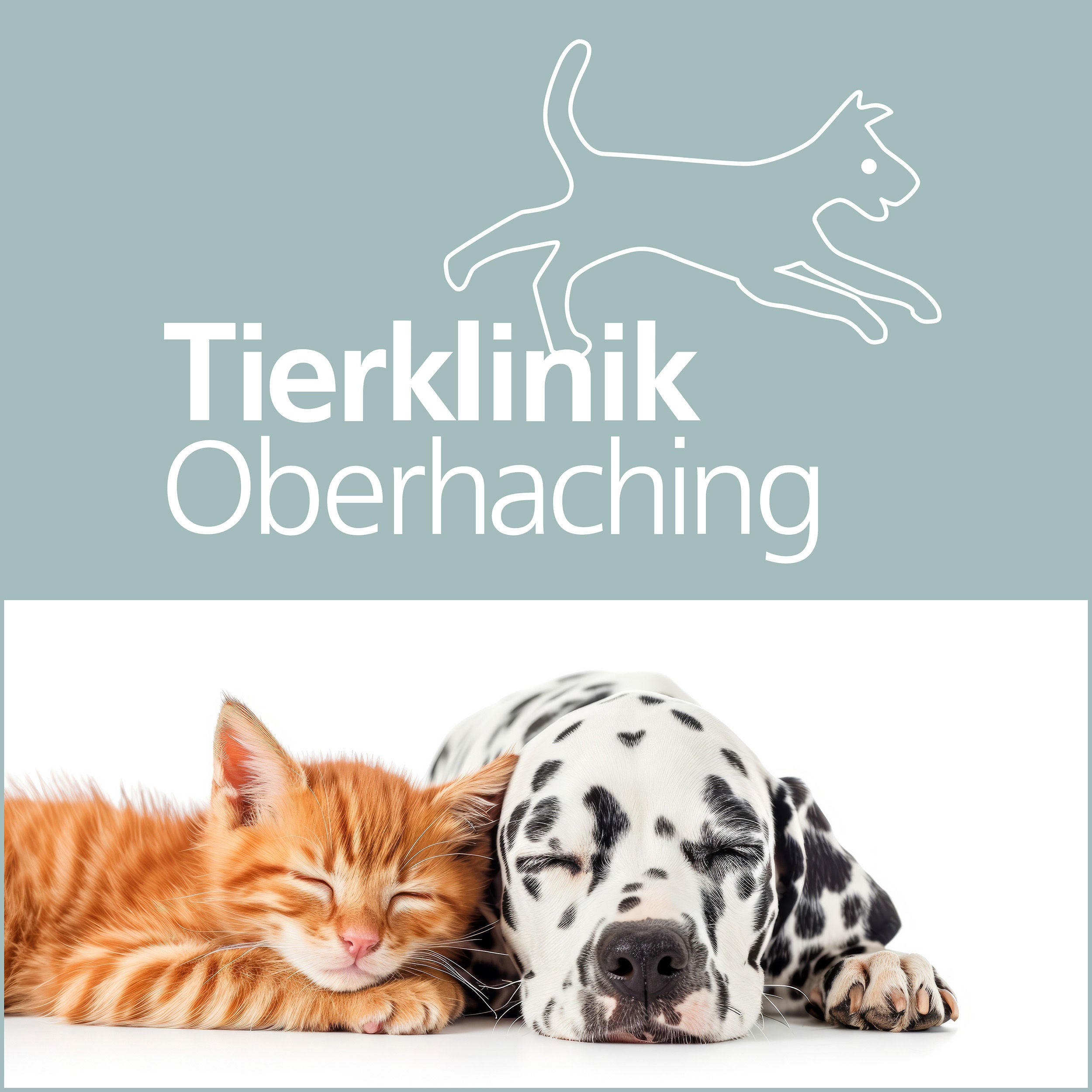 Folge 16 - Kreuzbandriss beim Hund: Wenn plötzlich nichts mehr geht
