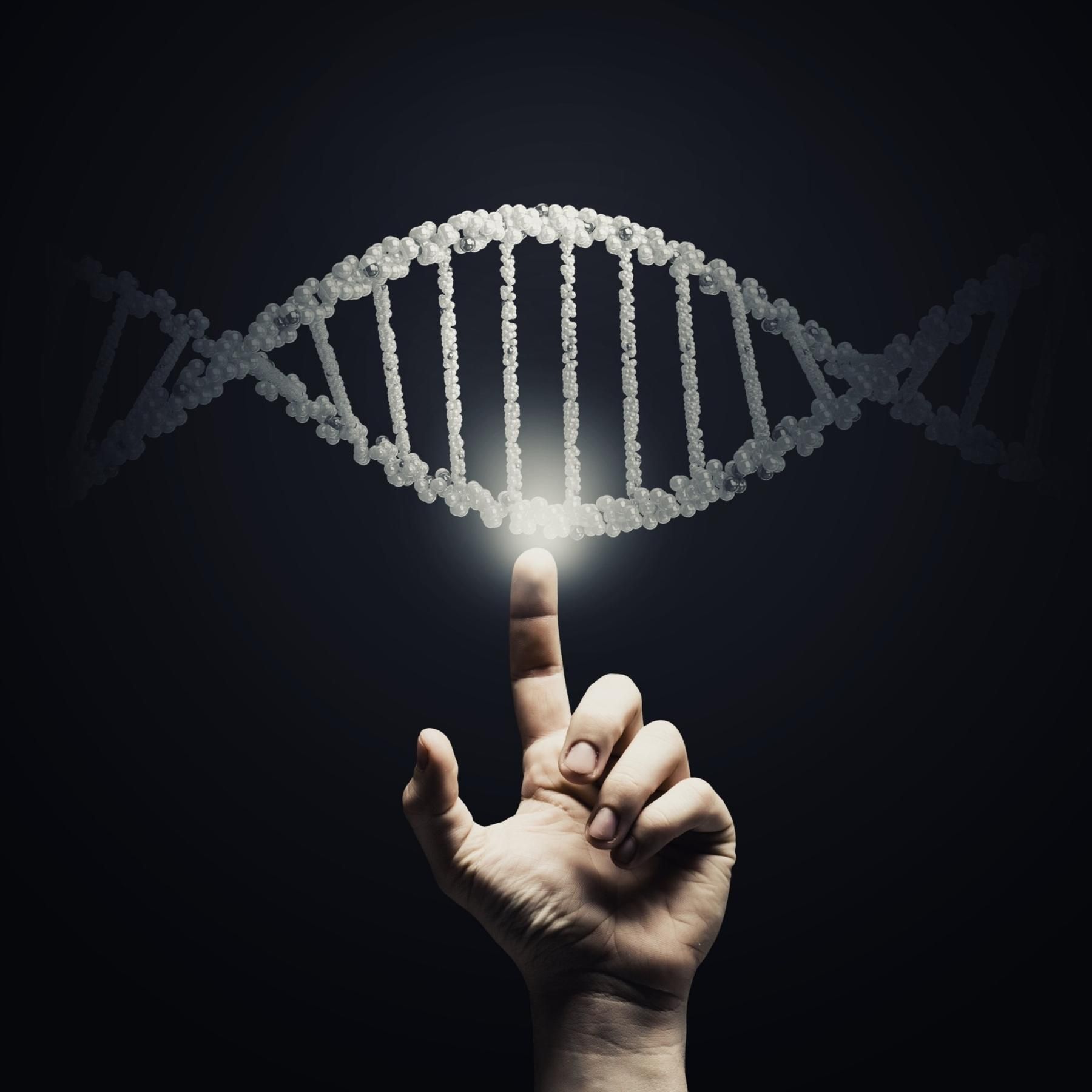 Wer bin ich? - So viel verrät unsere DNA