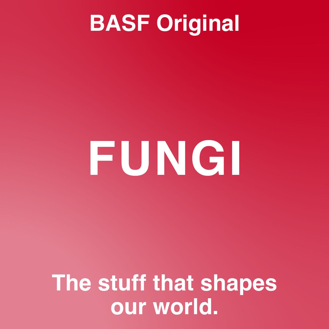 Fungi