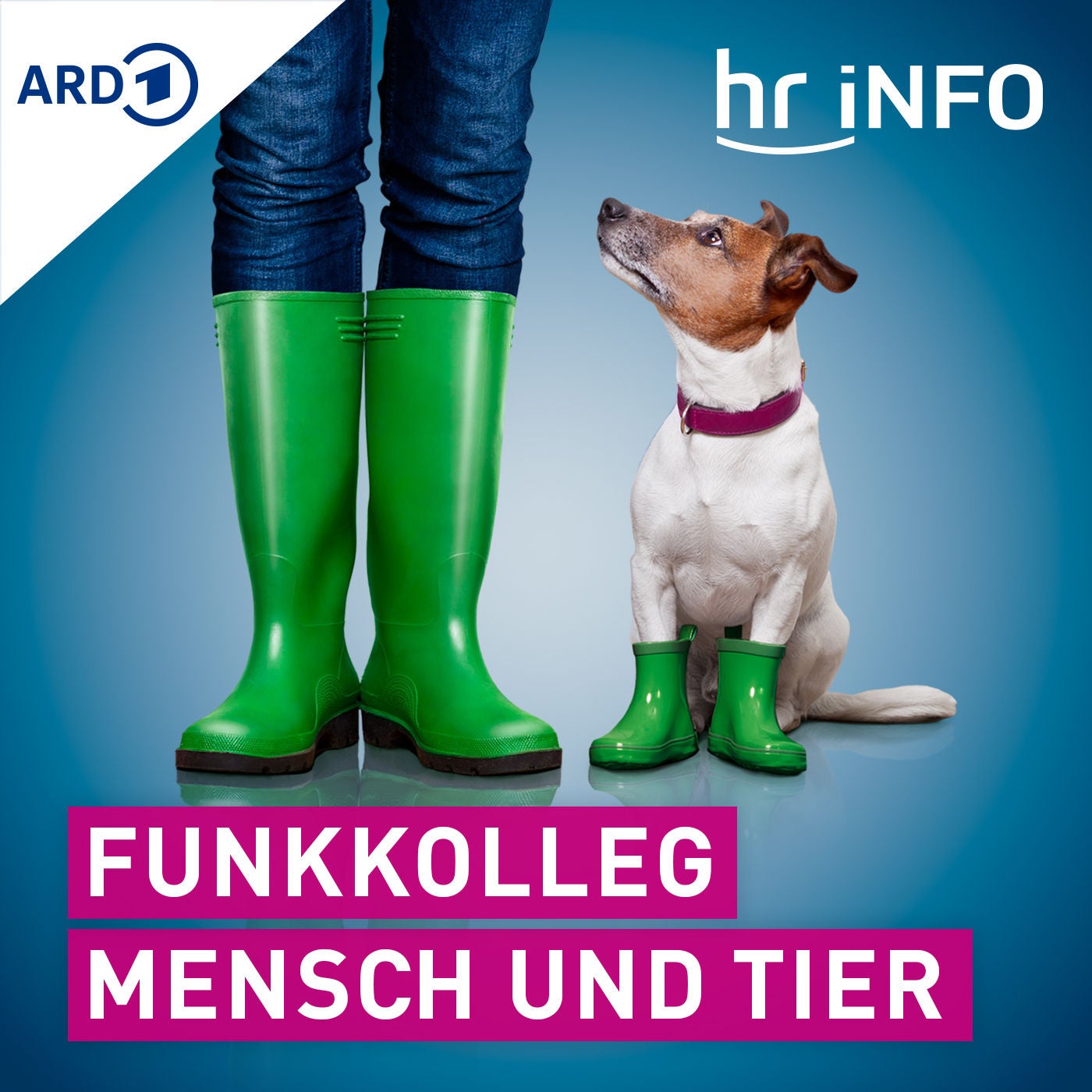 Alles schon bekannt – oder? Warum wir immer noch neue Tierarten entdecken (Folge 12)