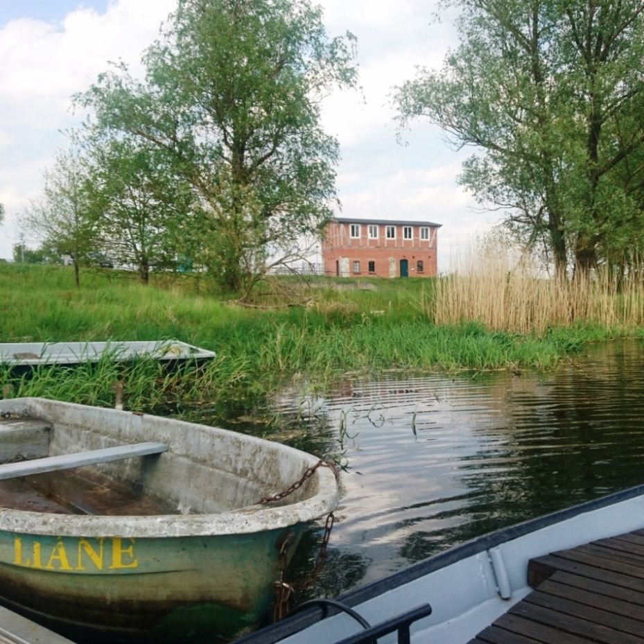Flusslandschaft Havel – zurück zur Natur
