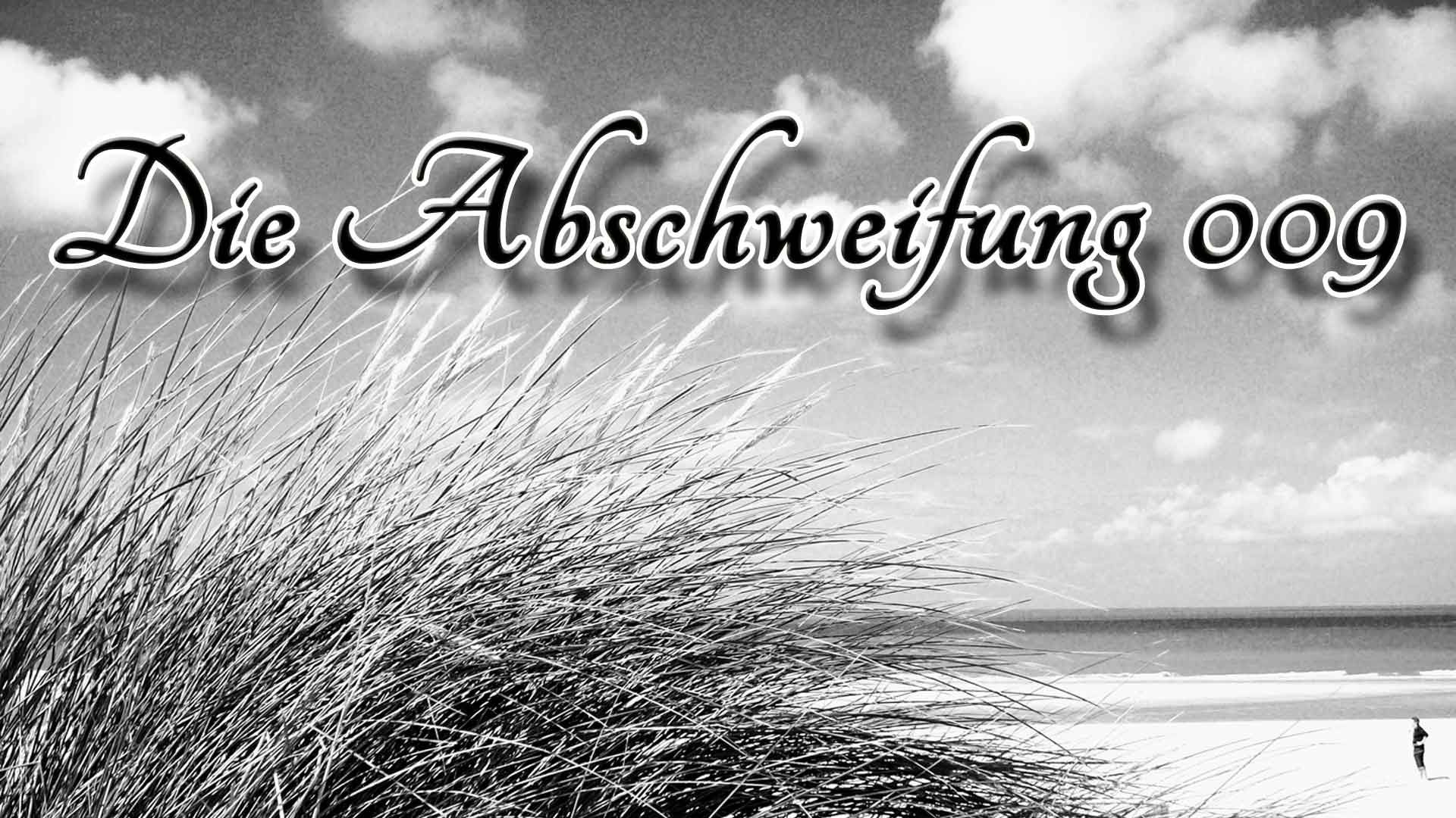 Die Abschweifung-009 Hamsterkäufe