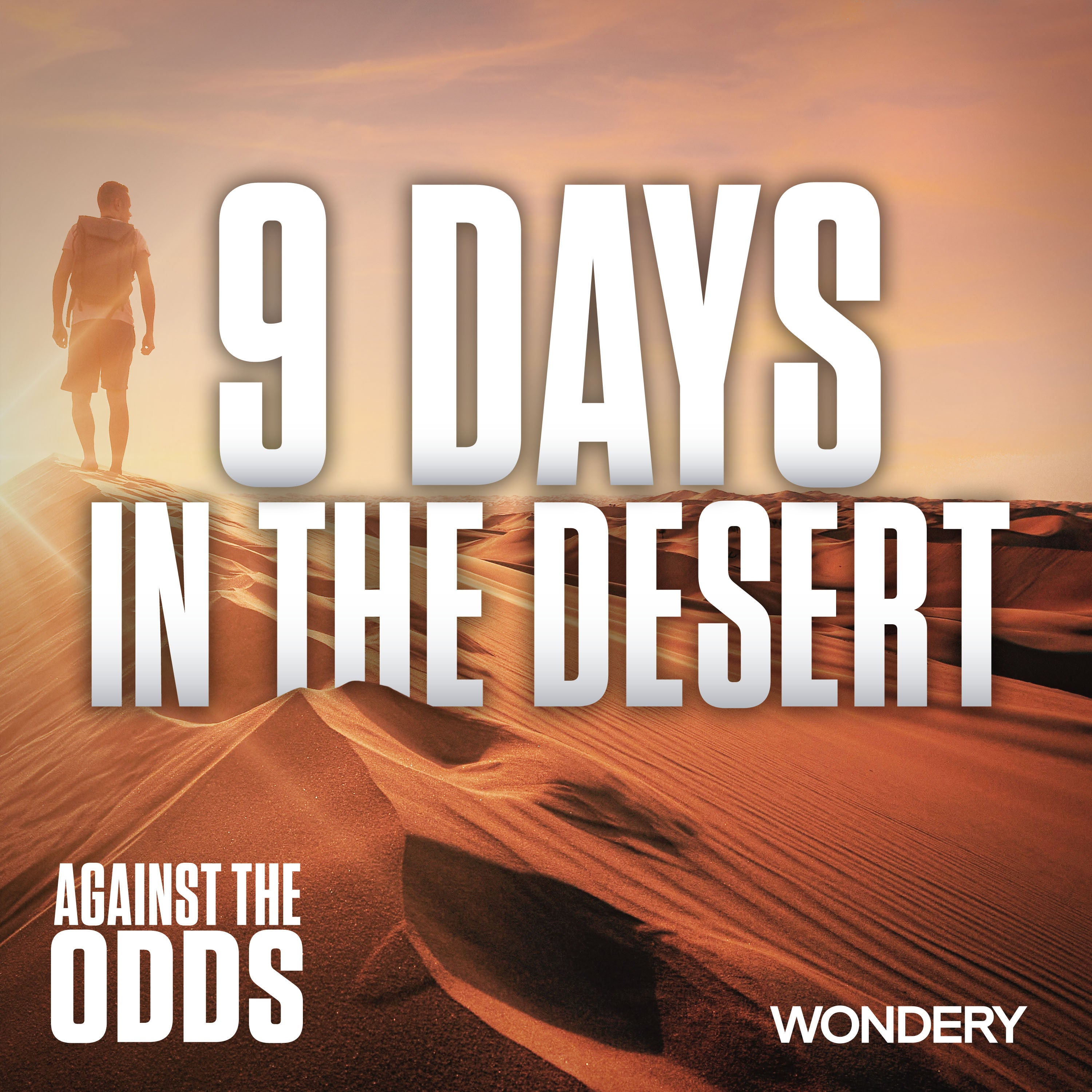 Nine Days in the Desert I The Finish Line | 3