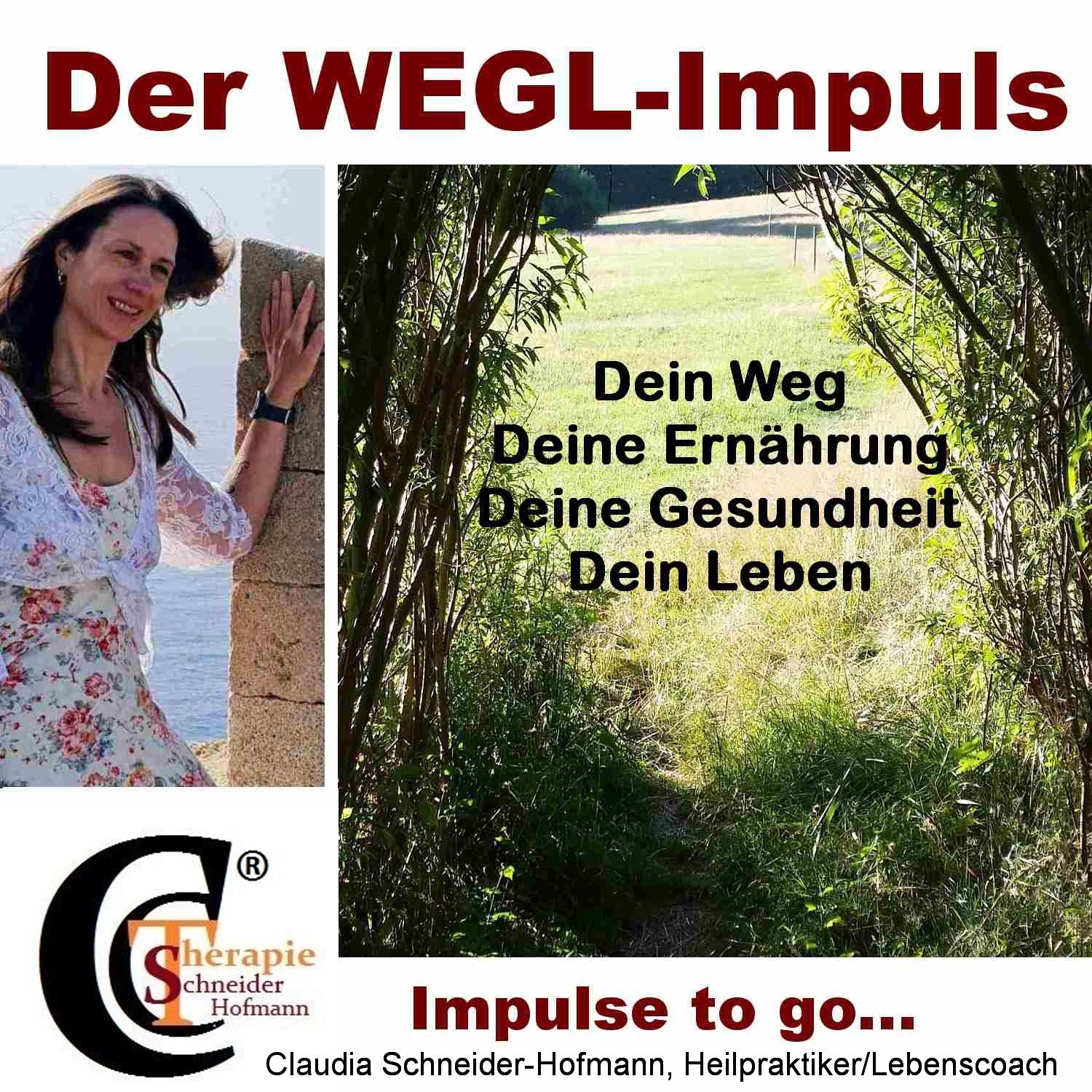Folge #001 - Wandler zwischen den Welten und Impulse