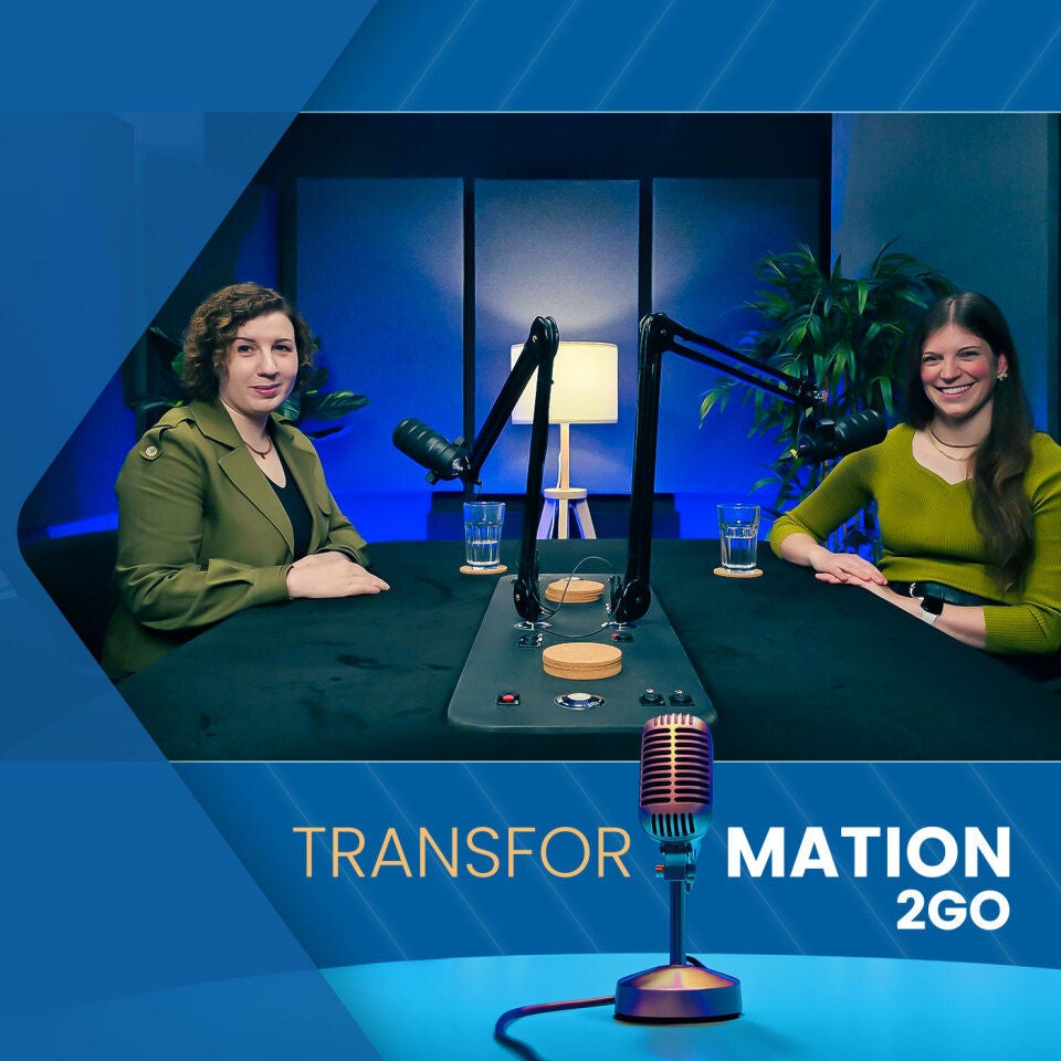 Projektleitung & PMO: Das unsichtbare Erfolgsduo jeder Transformation