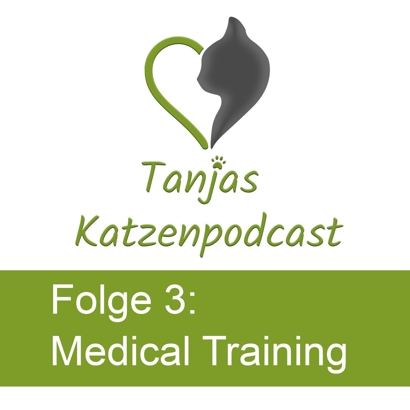 Folge 3: Medical Training