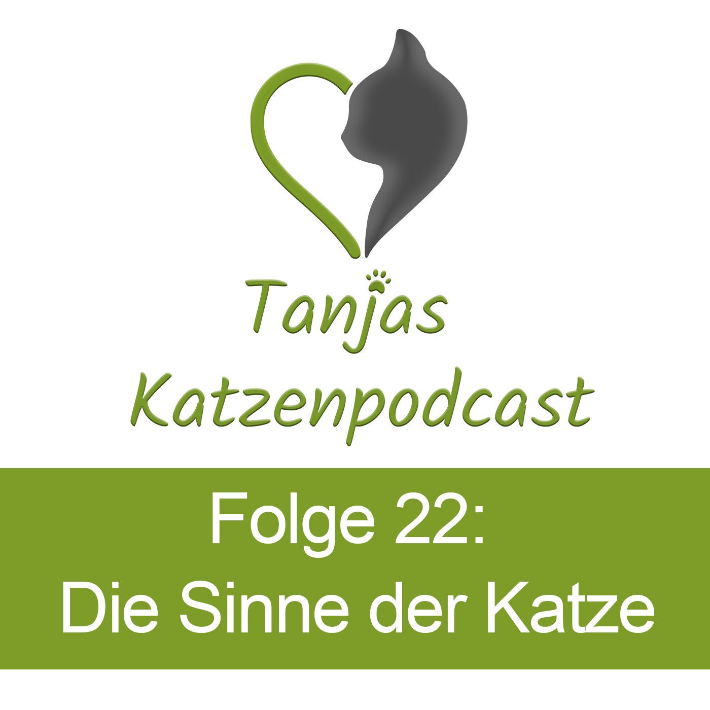 Die Sinne der Katzen