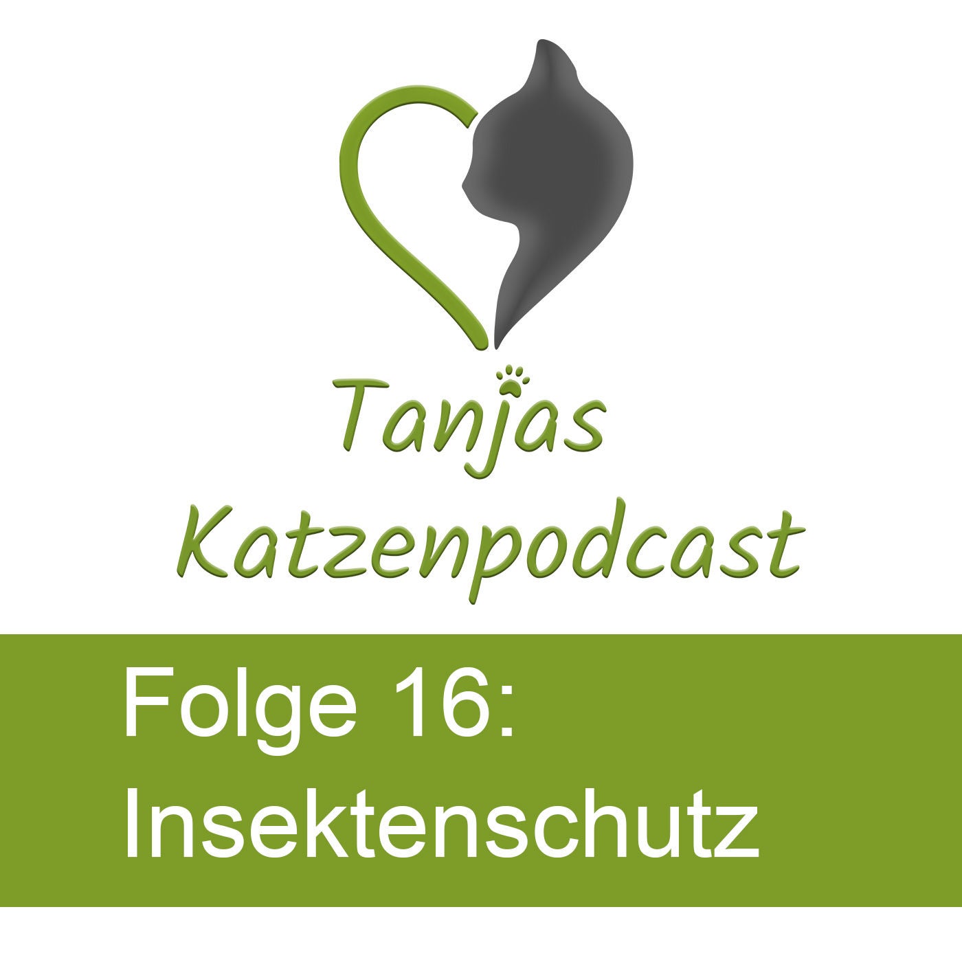 Insektenschutz im Katzenhaushalt