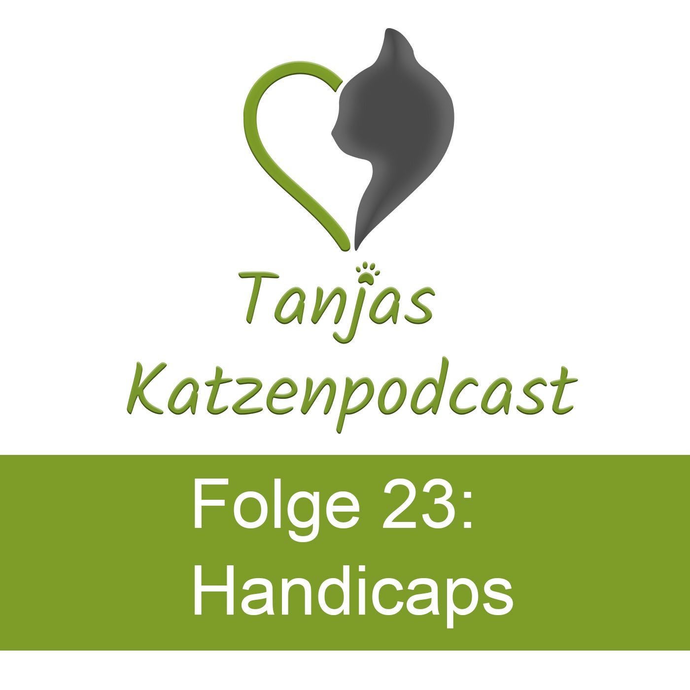 Katzen mit Handicap