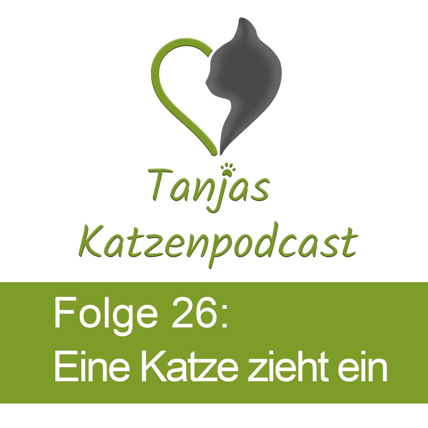 Eine neue Katze zieht ein – Katzen richtig einander vorstellen
