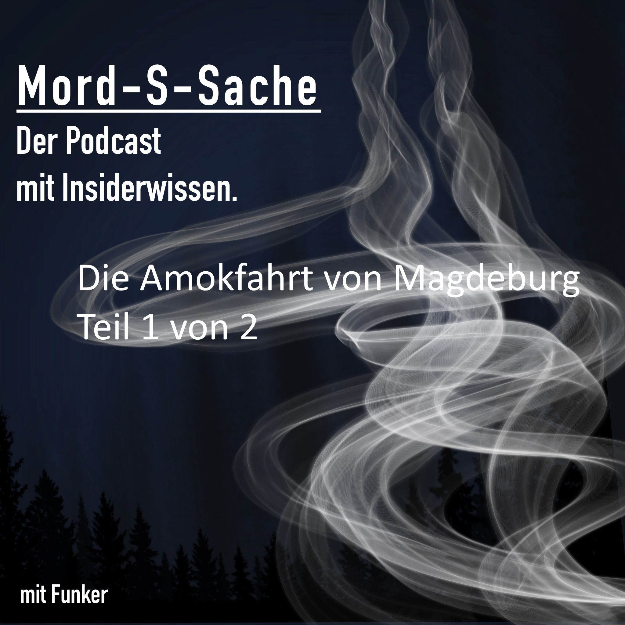 Folge 41 - die Amokfahrt von Magdeburg 1/2