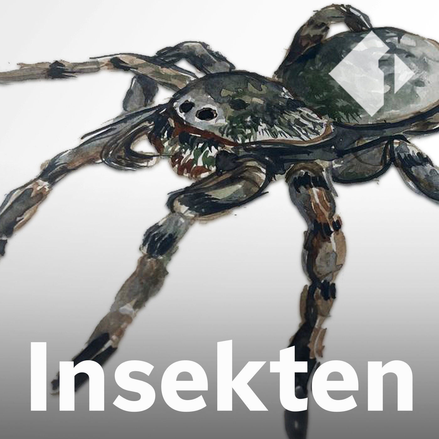 Die südrussische Tarantel