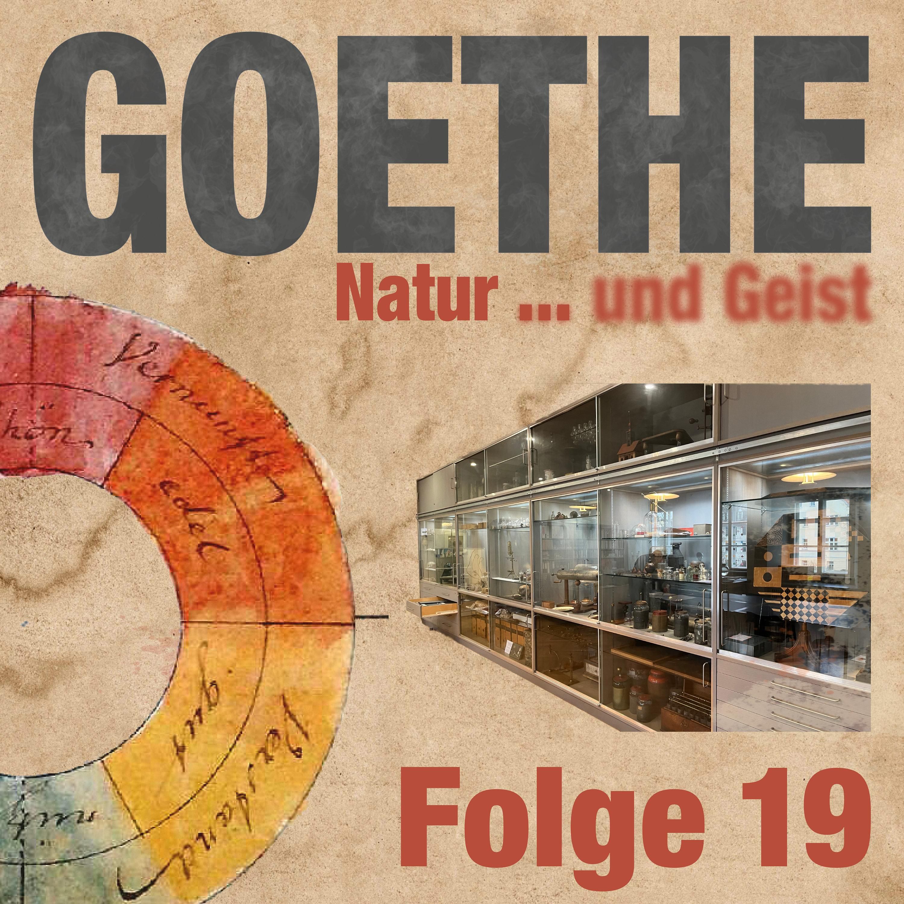 5000 Objekte und Fingerabdrücke in Goethes Mikroskop