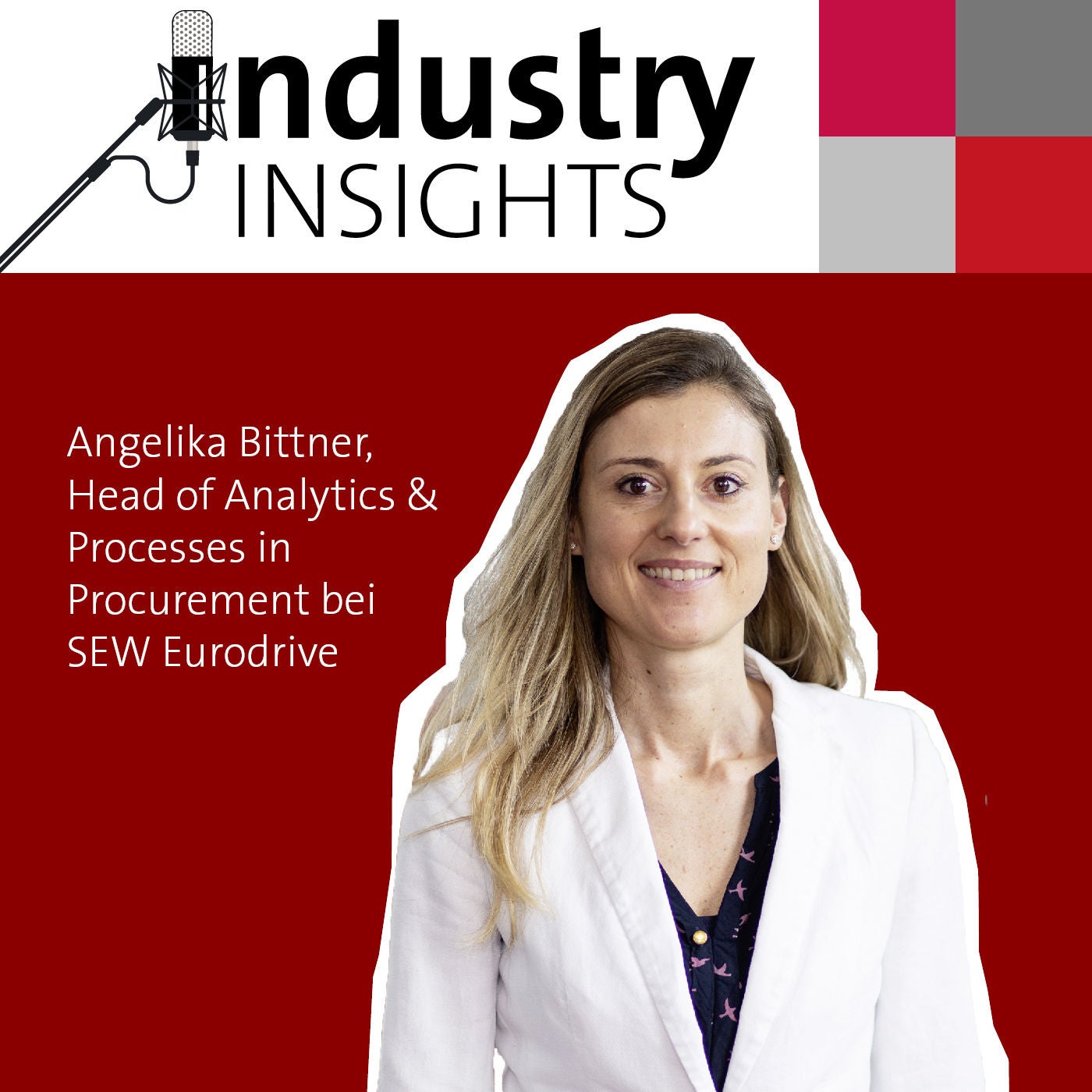 SEW Eurodrive Führungskraft Bittner über Digitalisierung im Einkauf und Risikomanagement