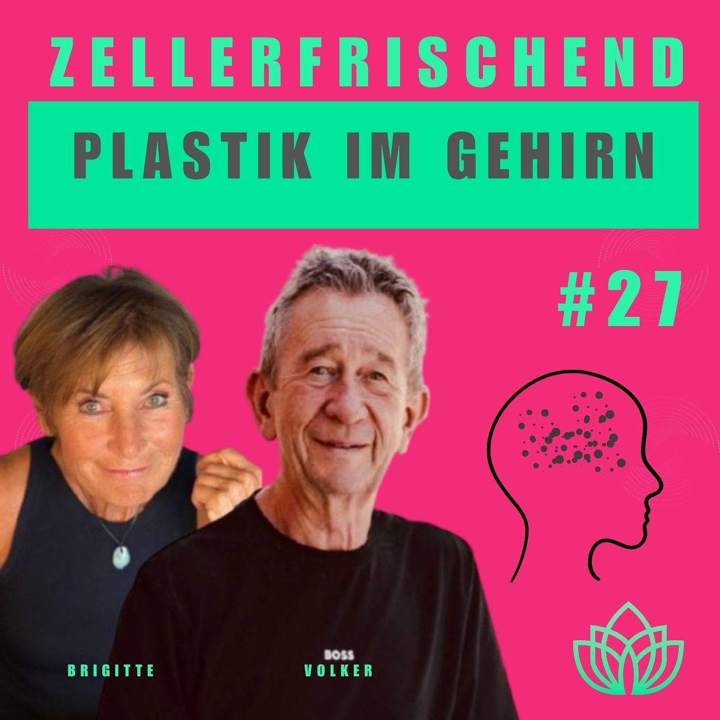 Mikro- und Nanoplastik im Körper – Unsichtbare Gefahr für Herz, Gehirn und Zellgesundheit #27