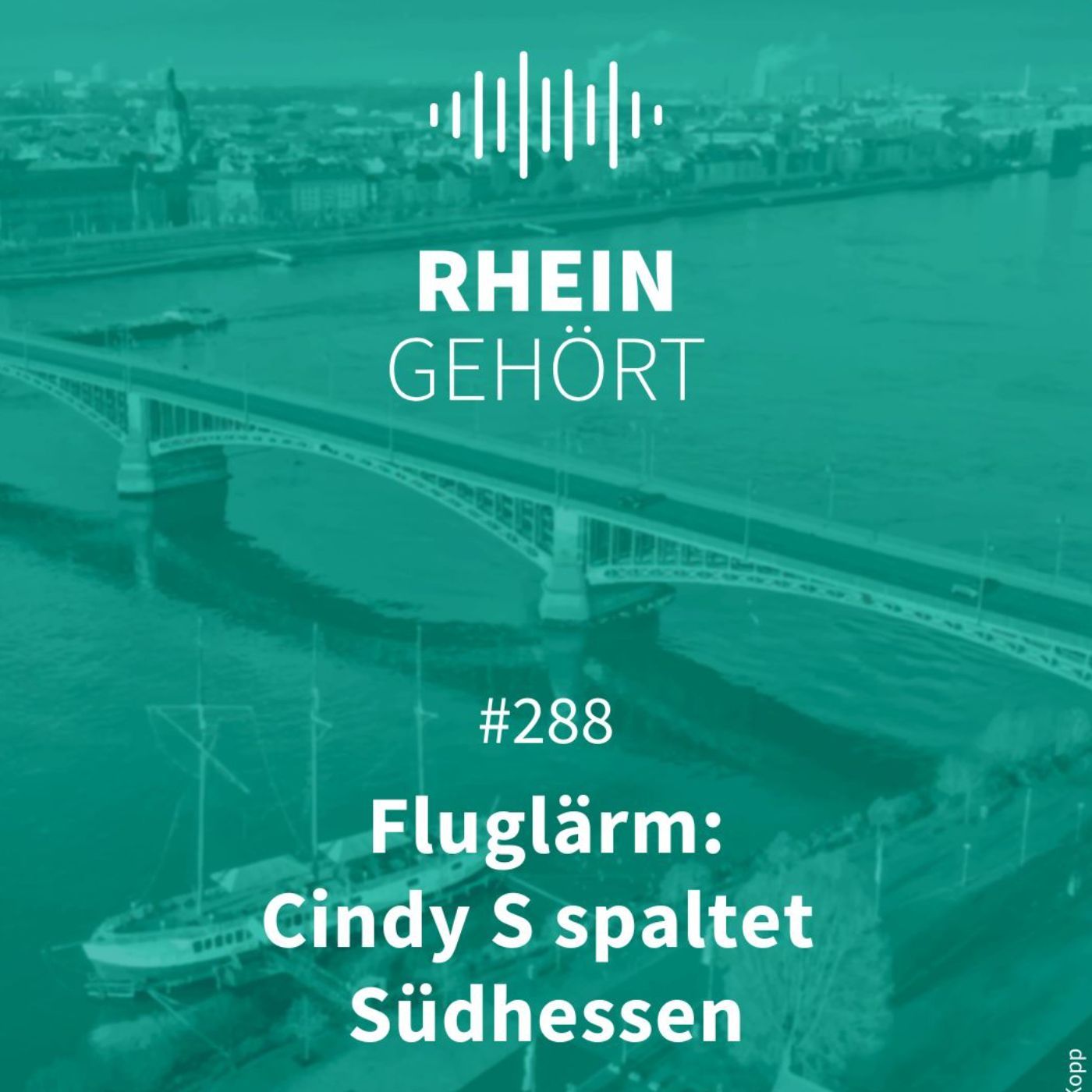 #288 - Fluglärm: Cindy S spaltet Südhessen