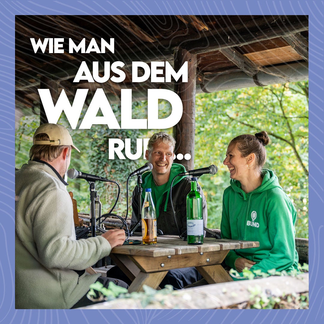 #30 Mit Baldrian auf Katzensuche