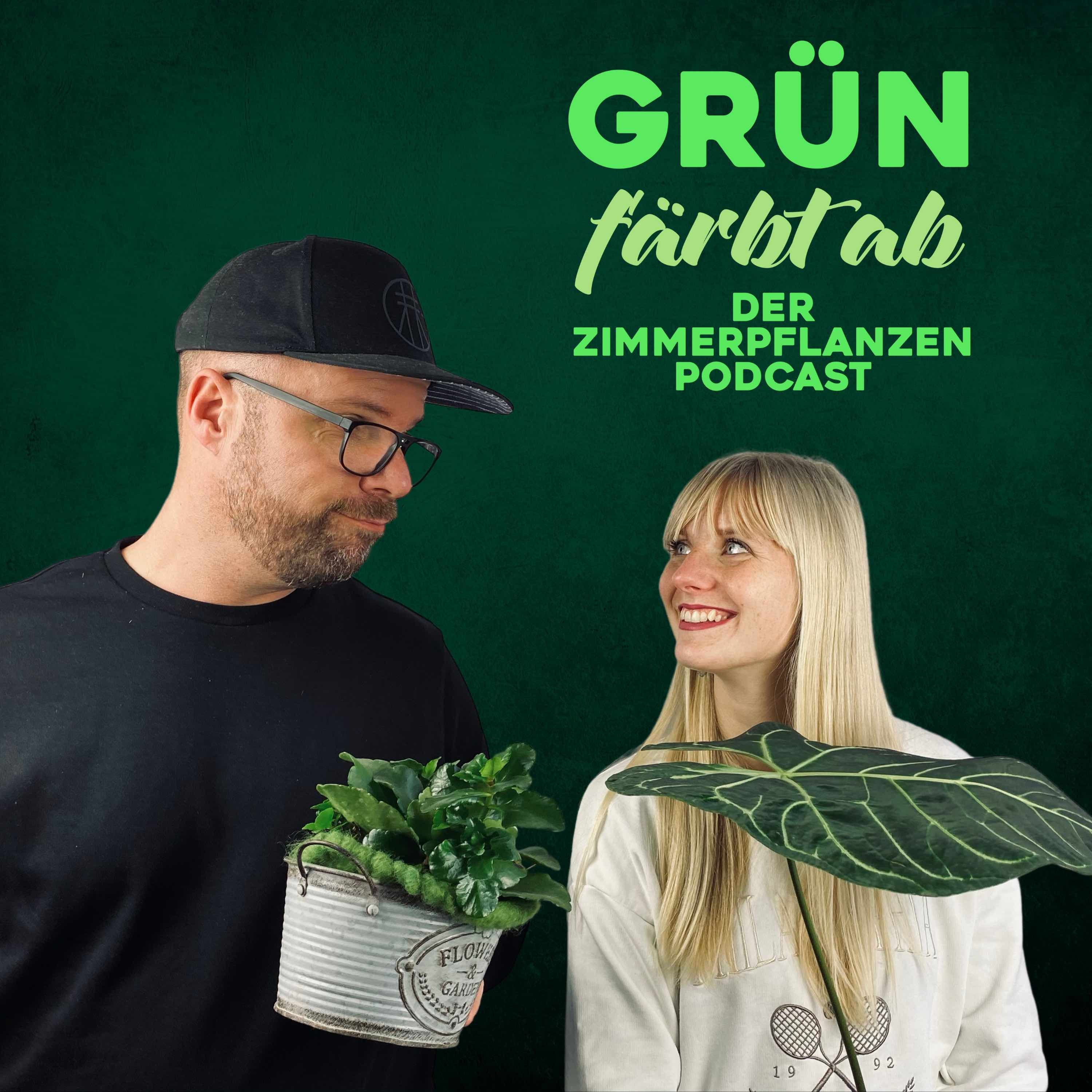 #114 Spinnmilben vorbeugen und bekämpfen