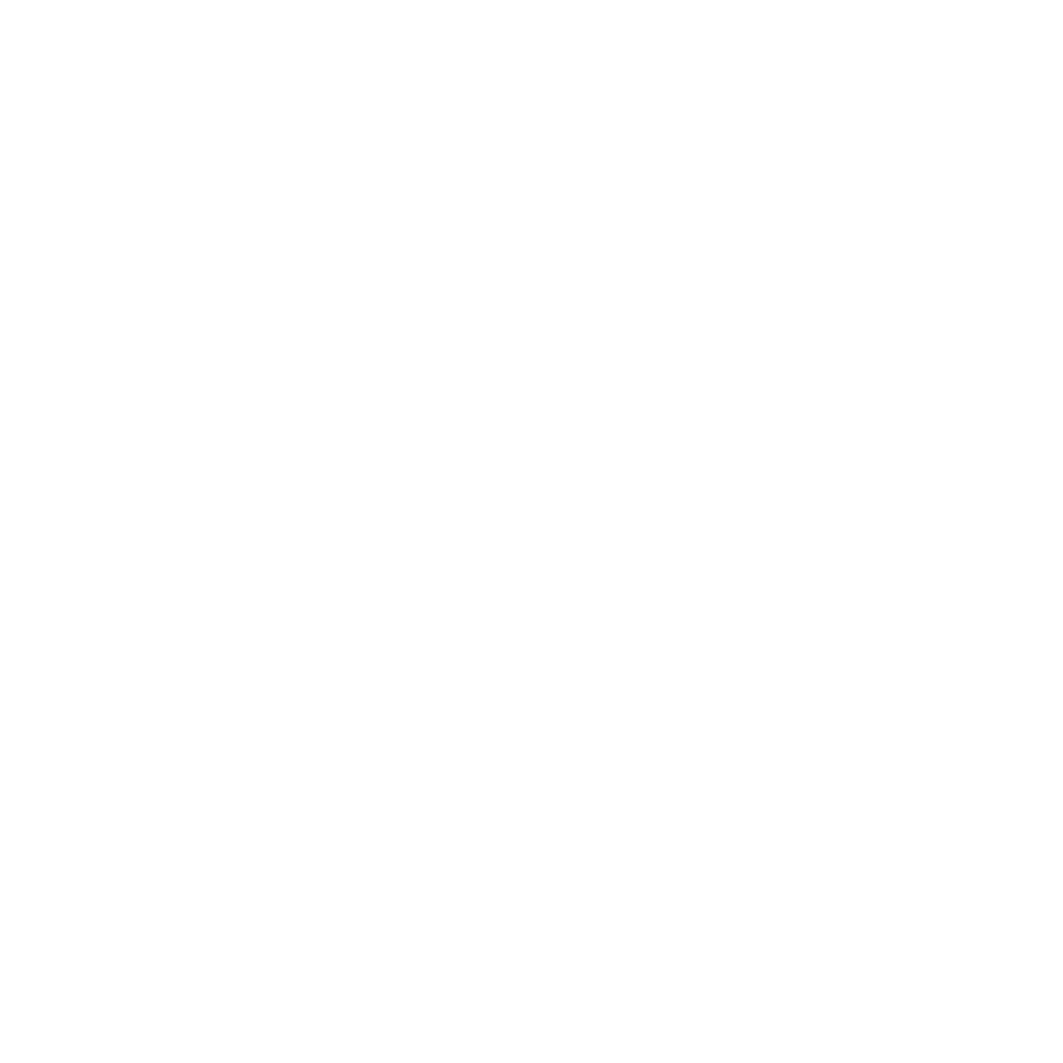 Behringer und die Toten - Ein Bamberg-Krimi