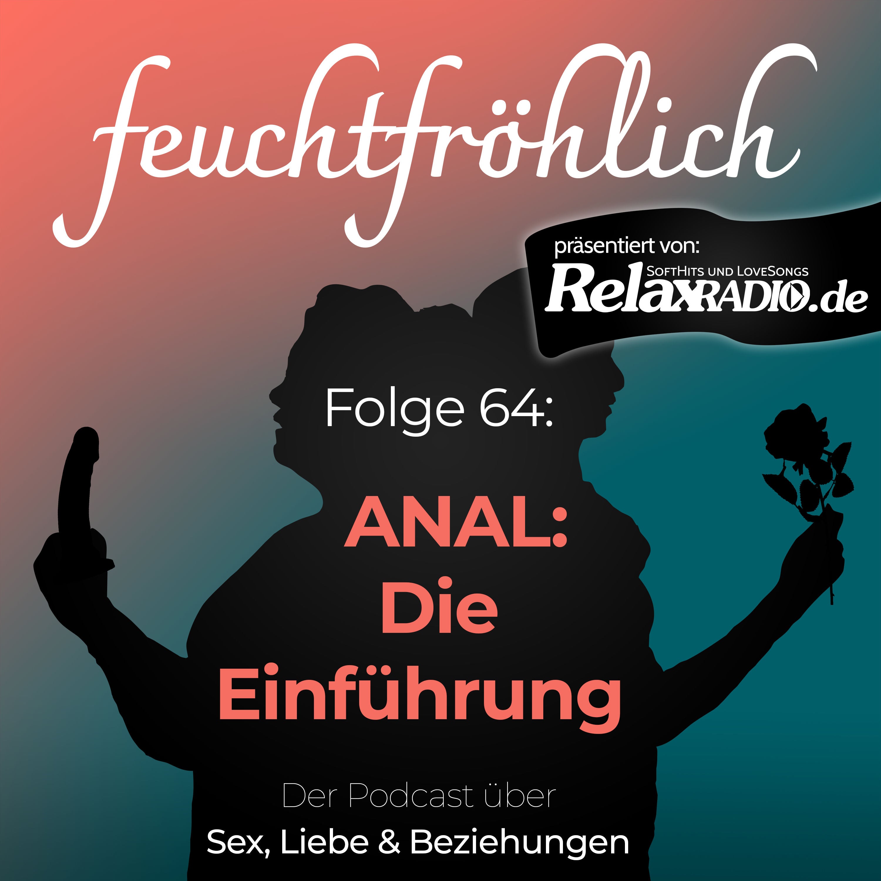 Anal: Die Einführung
