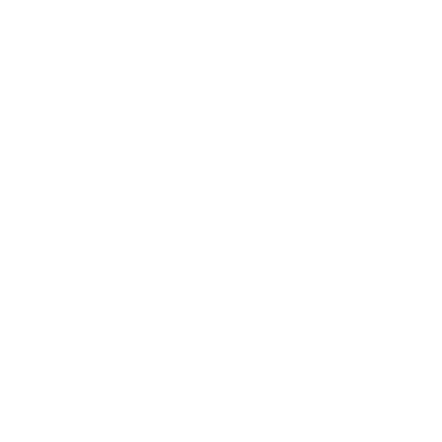 Ein riskanter Plan