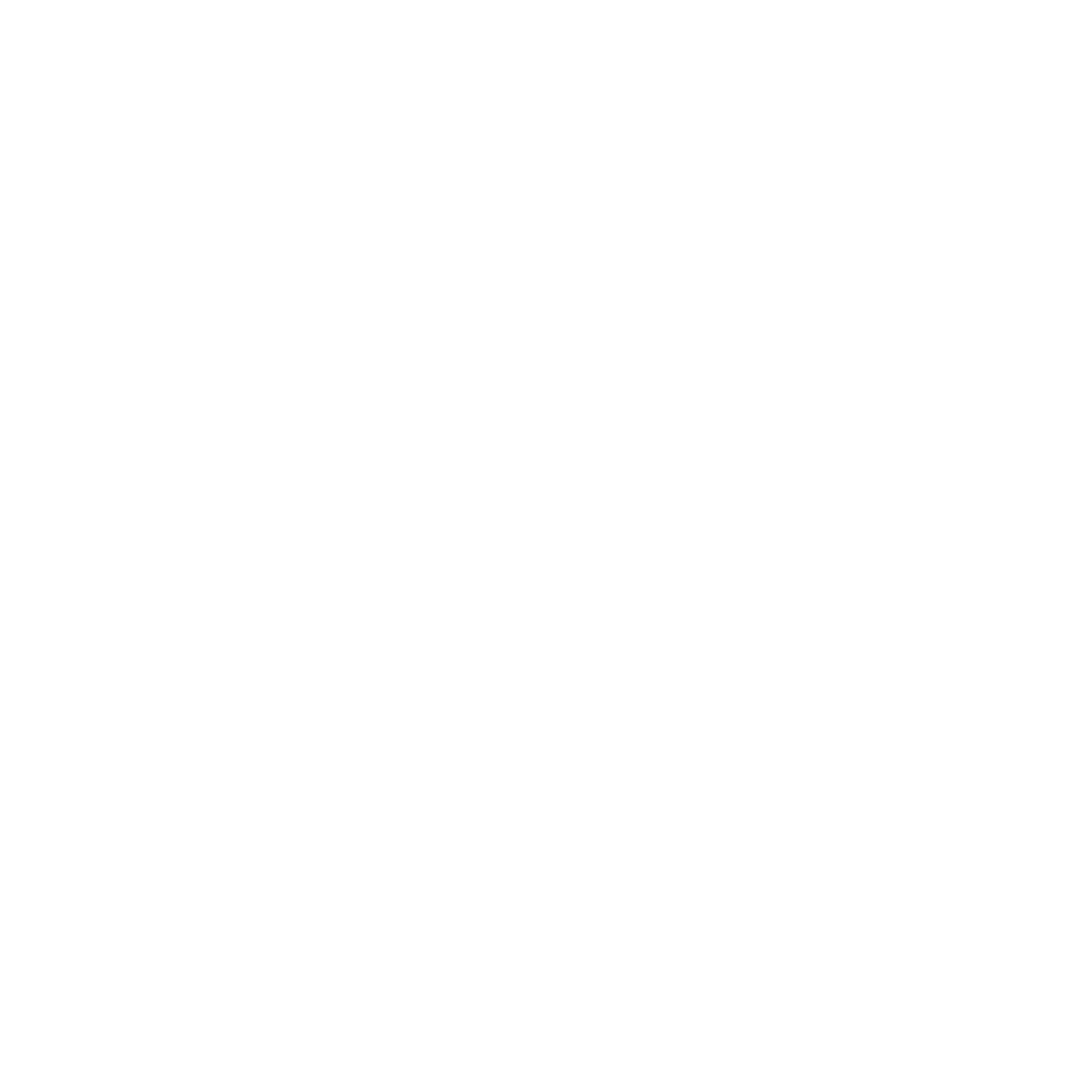 stern TV