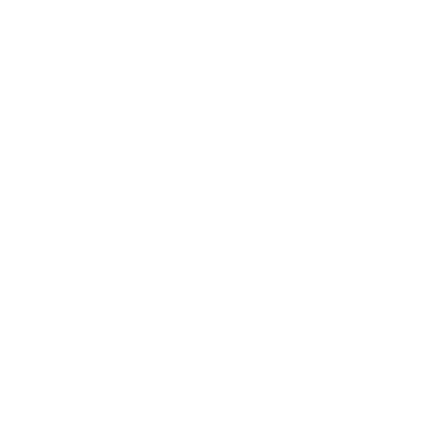 Die Therapie