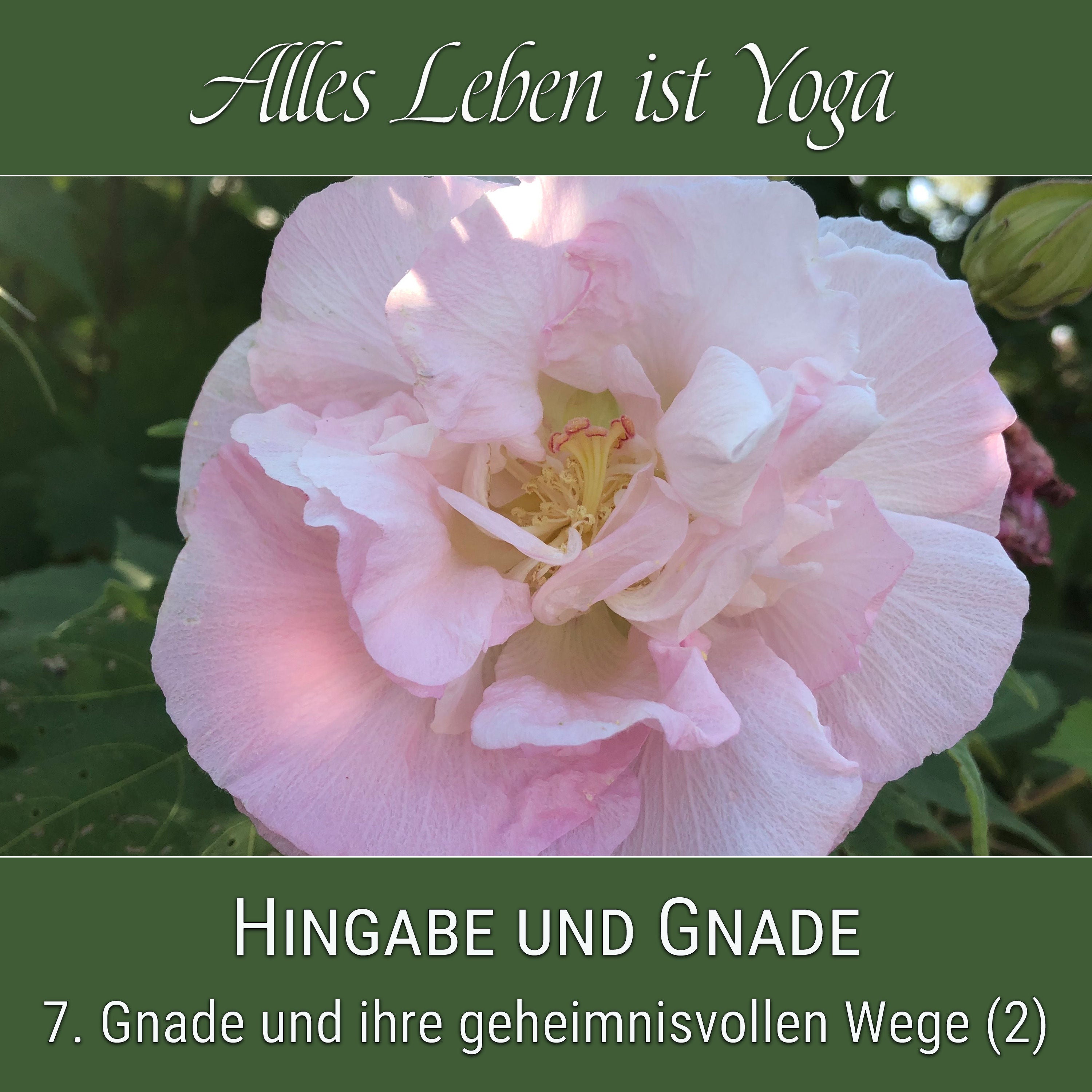 Gnade und ihre geheimnisvollen Wege – 2