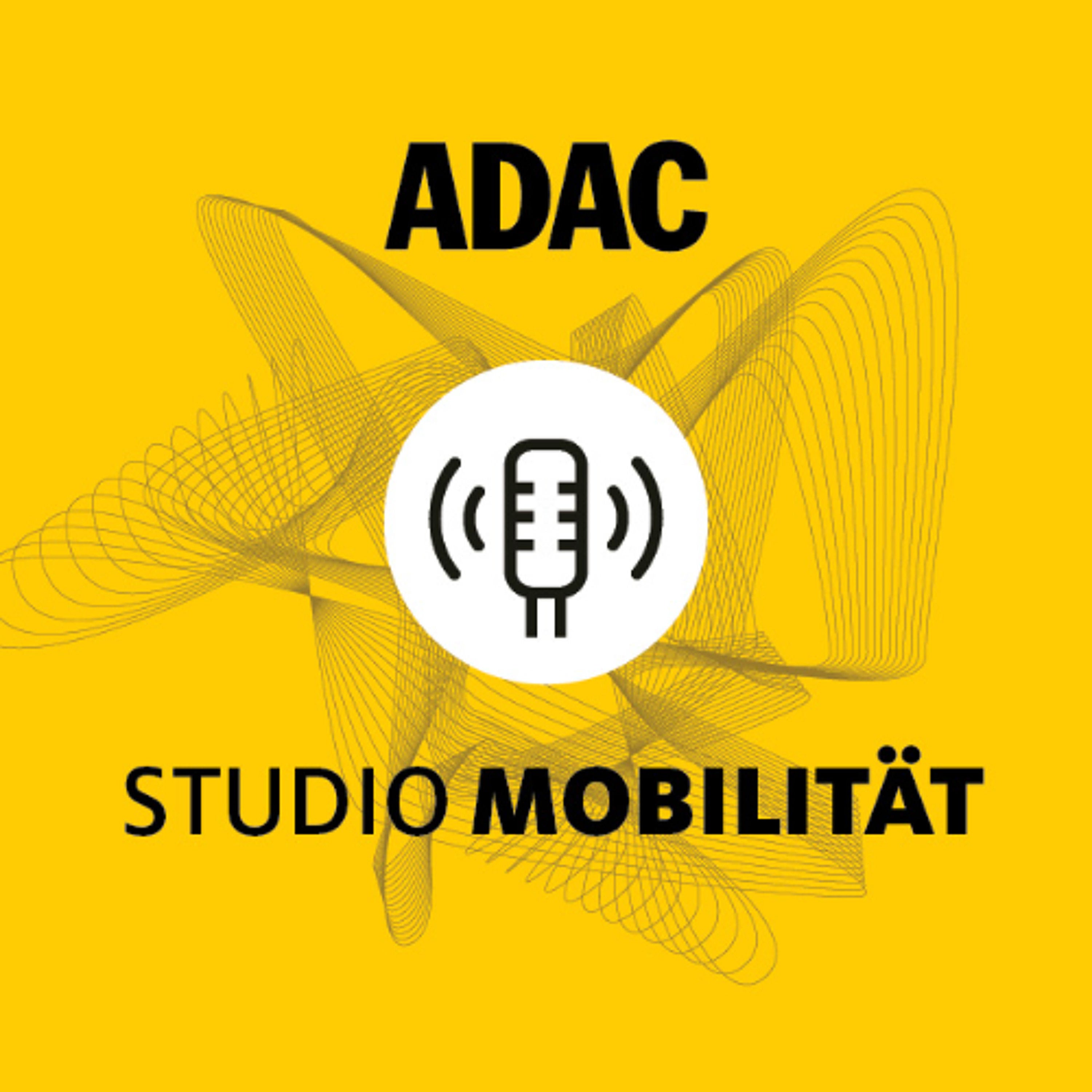 Fahrrad-Check: Tipps zu Pflege und Kauf
