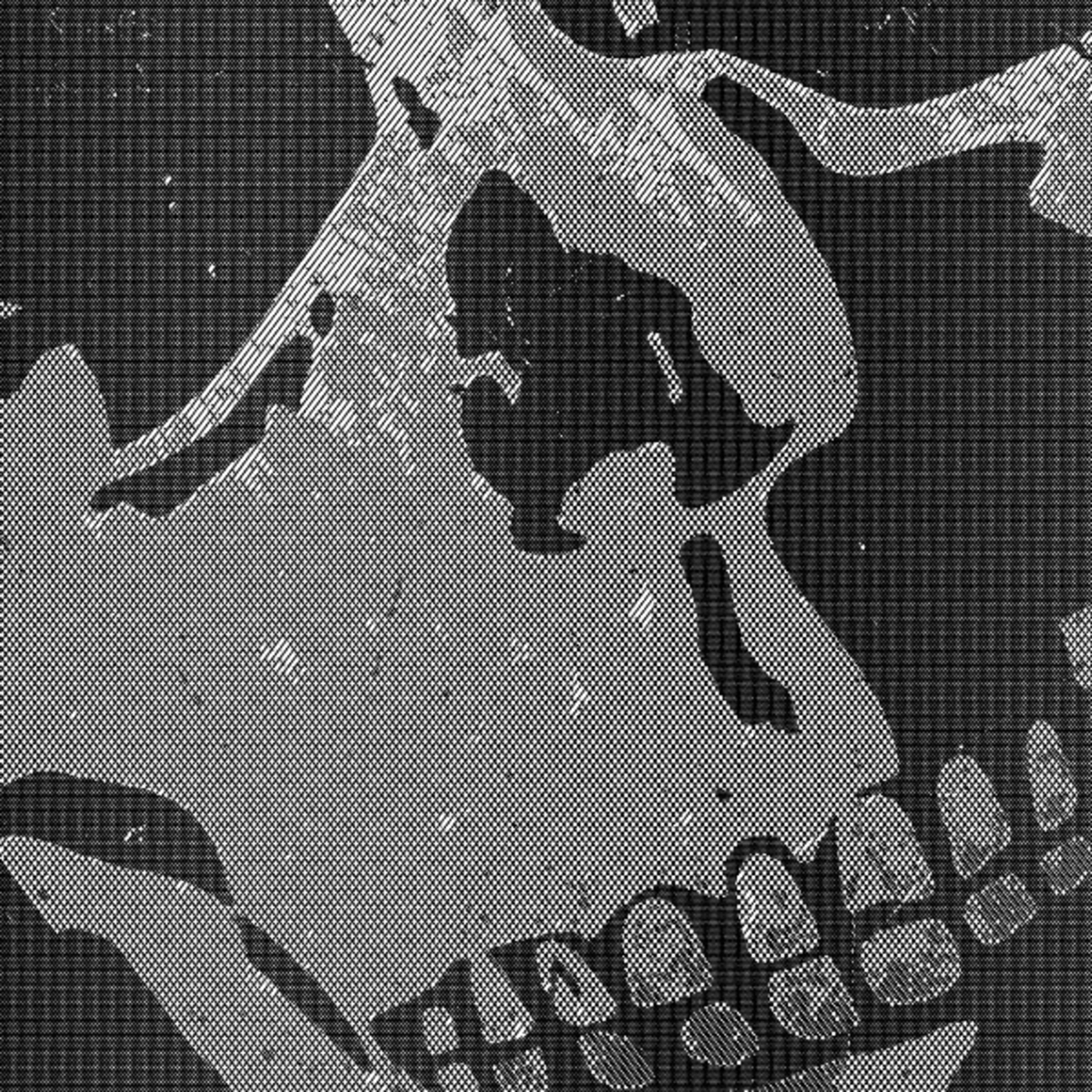 Die vollkommene Zahl, der Dutzendteufel und Freitag, der 13te